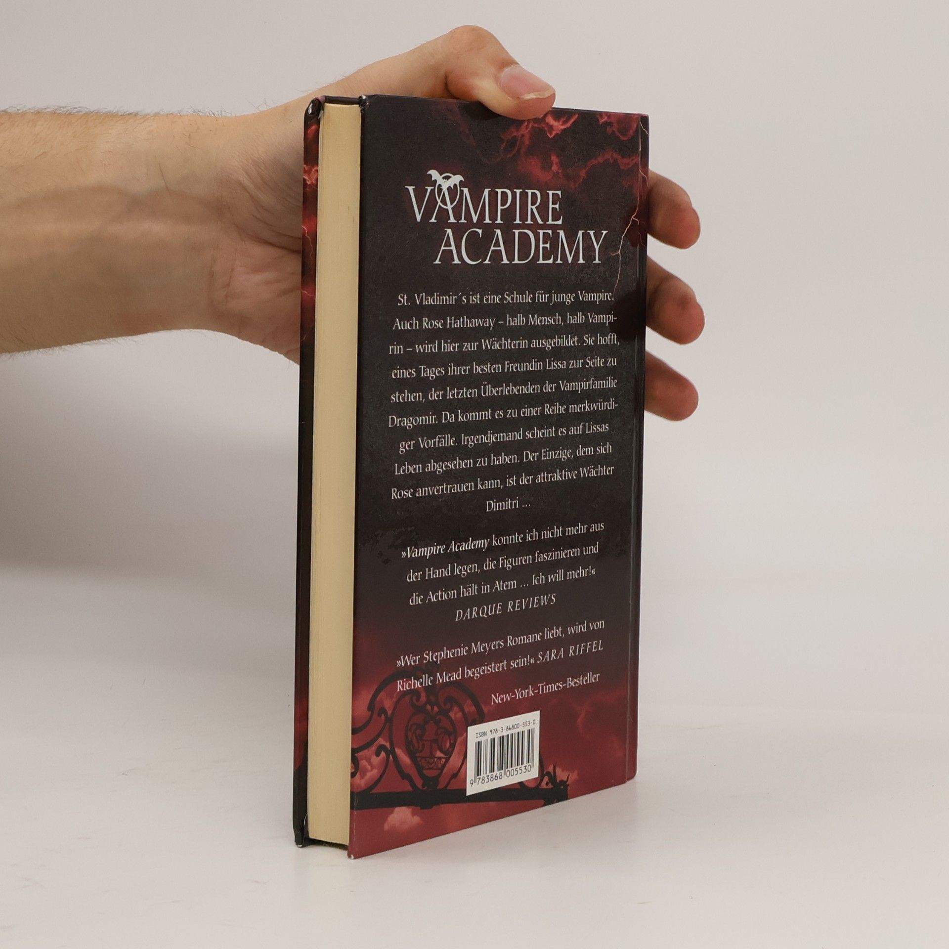 Richelle Mead Vampire Academy. Blutsschwestern