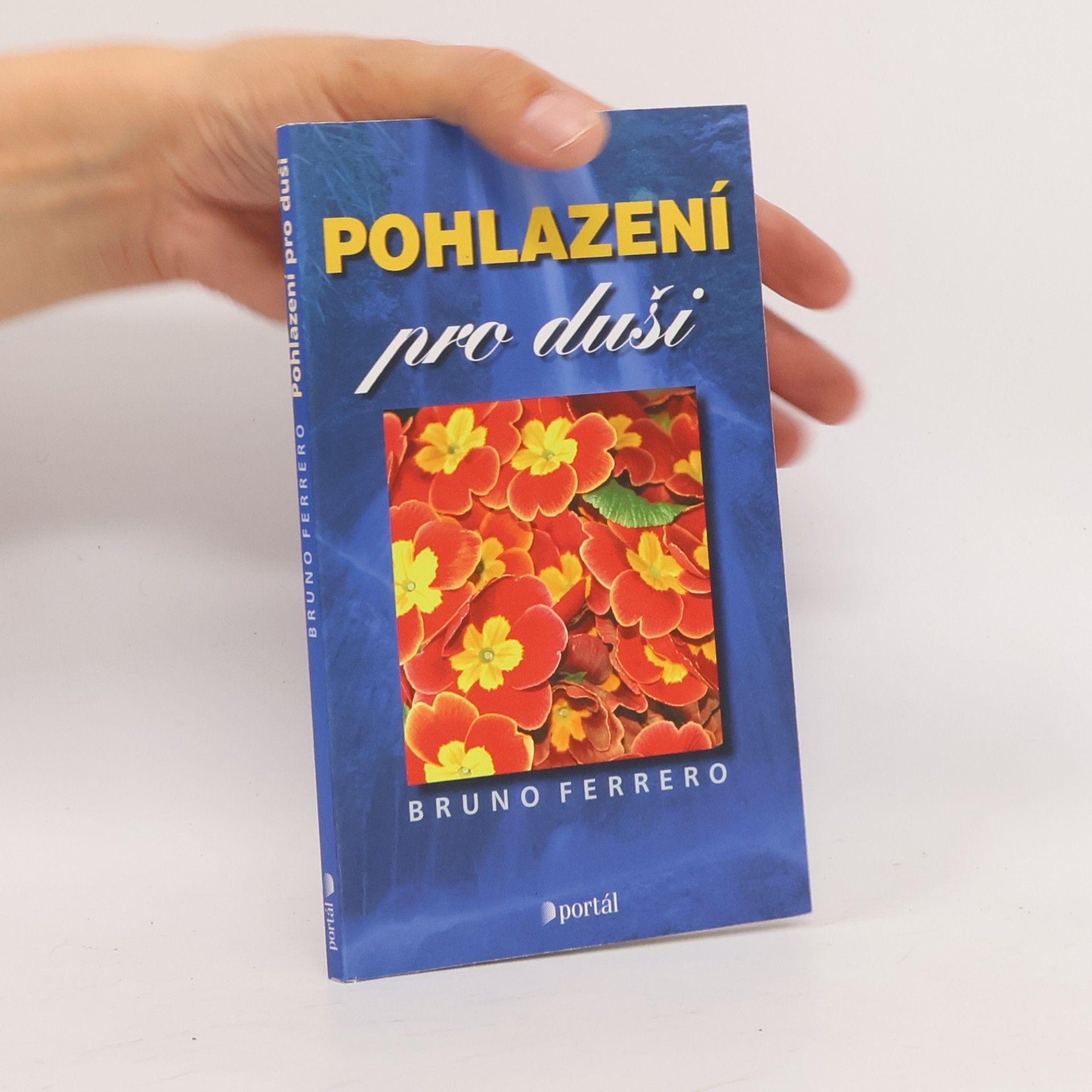 Bruno Ferrero Pohlazení pro duši