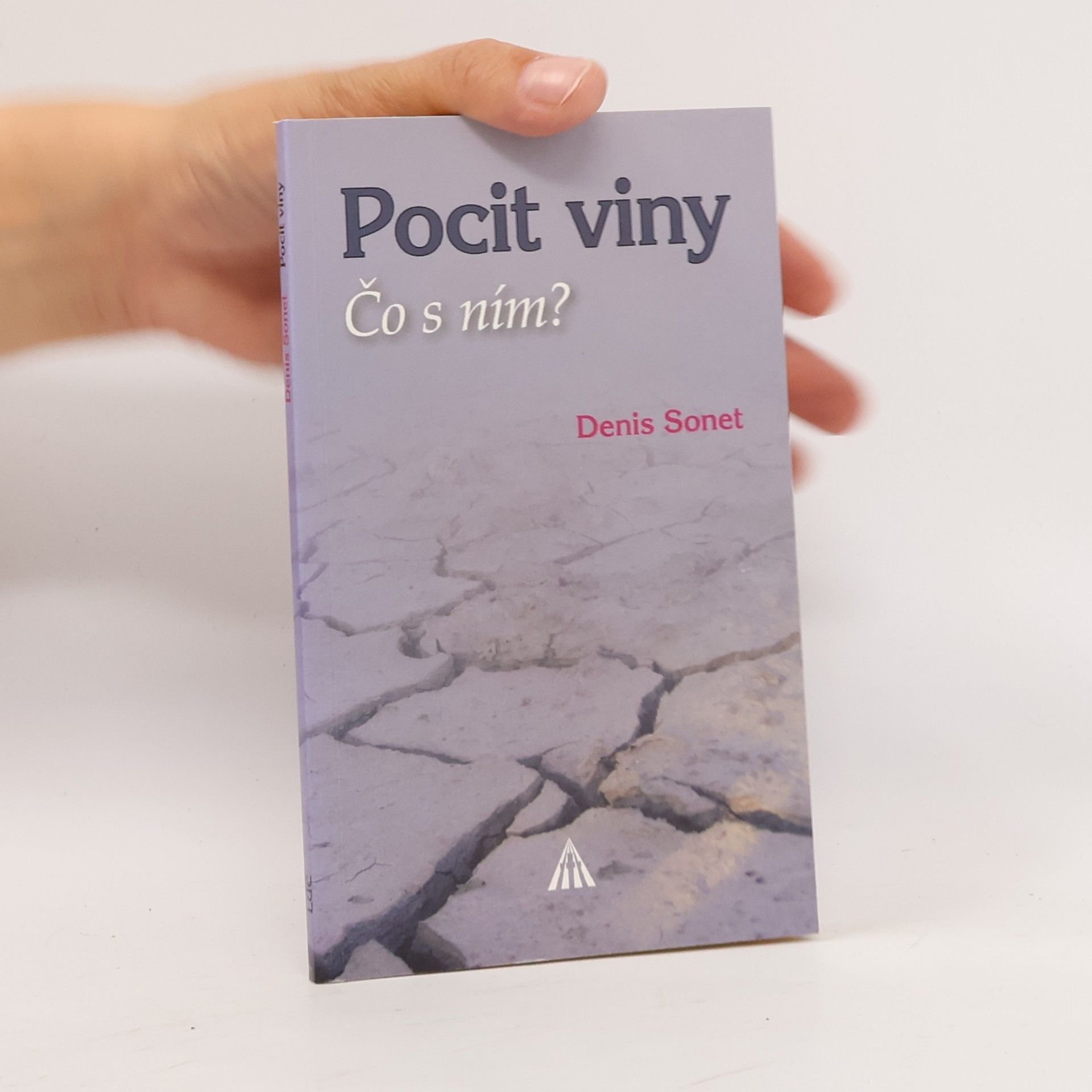 Denis Sonet Pocit viny