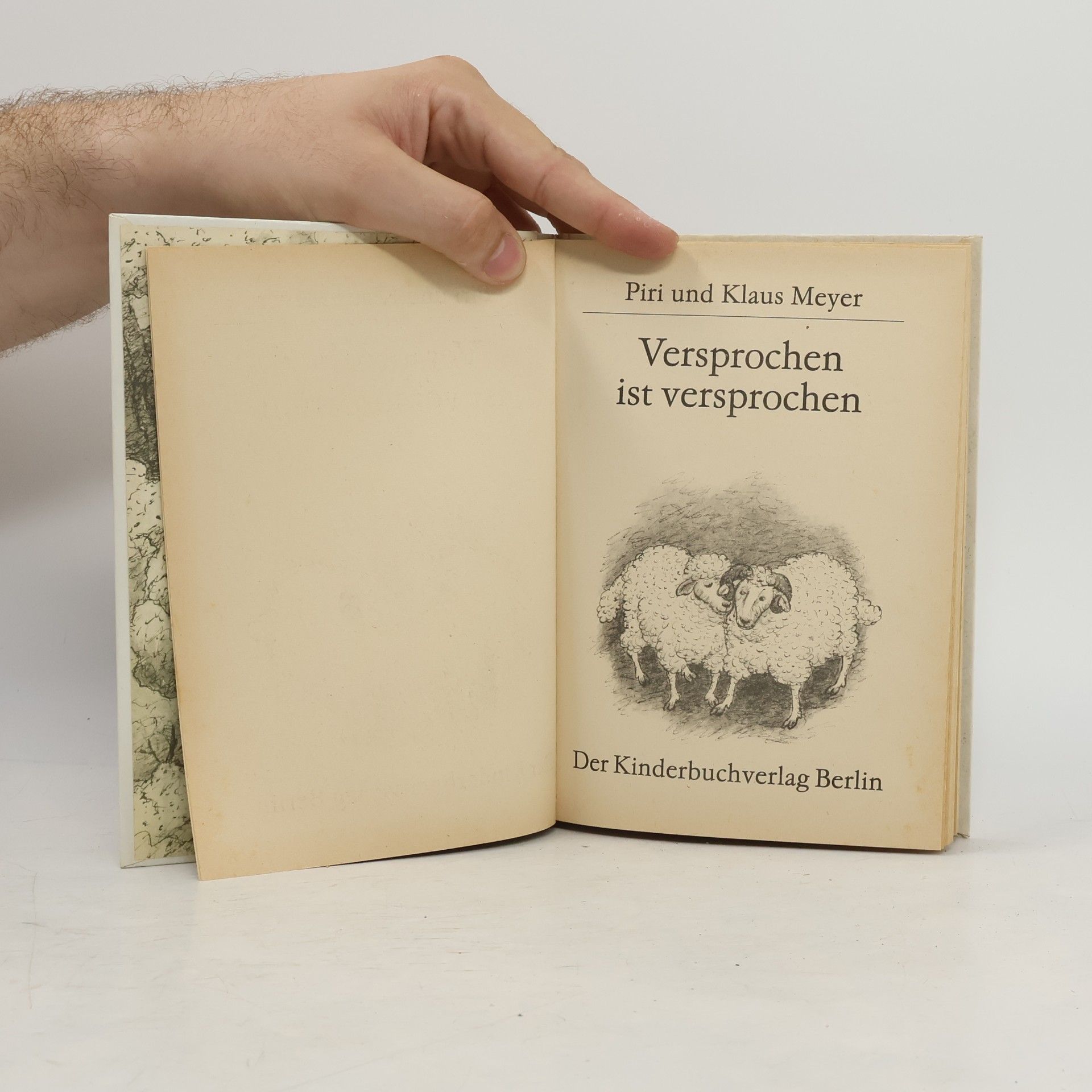 Piri Meyer Versprochen ist versprochen