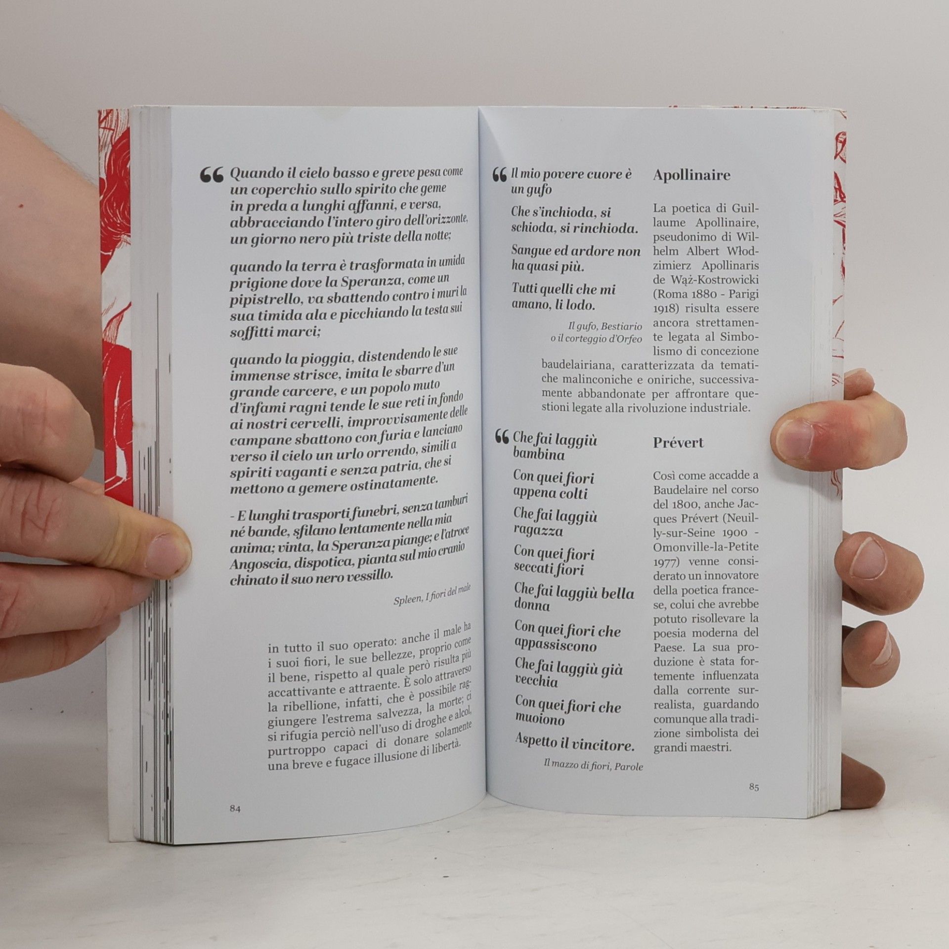Linda Simionato Il piccolo libro della poesia
