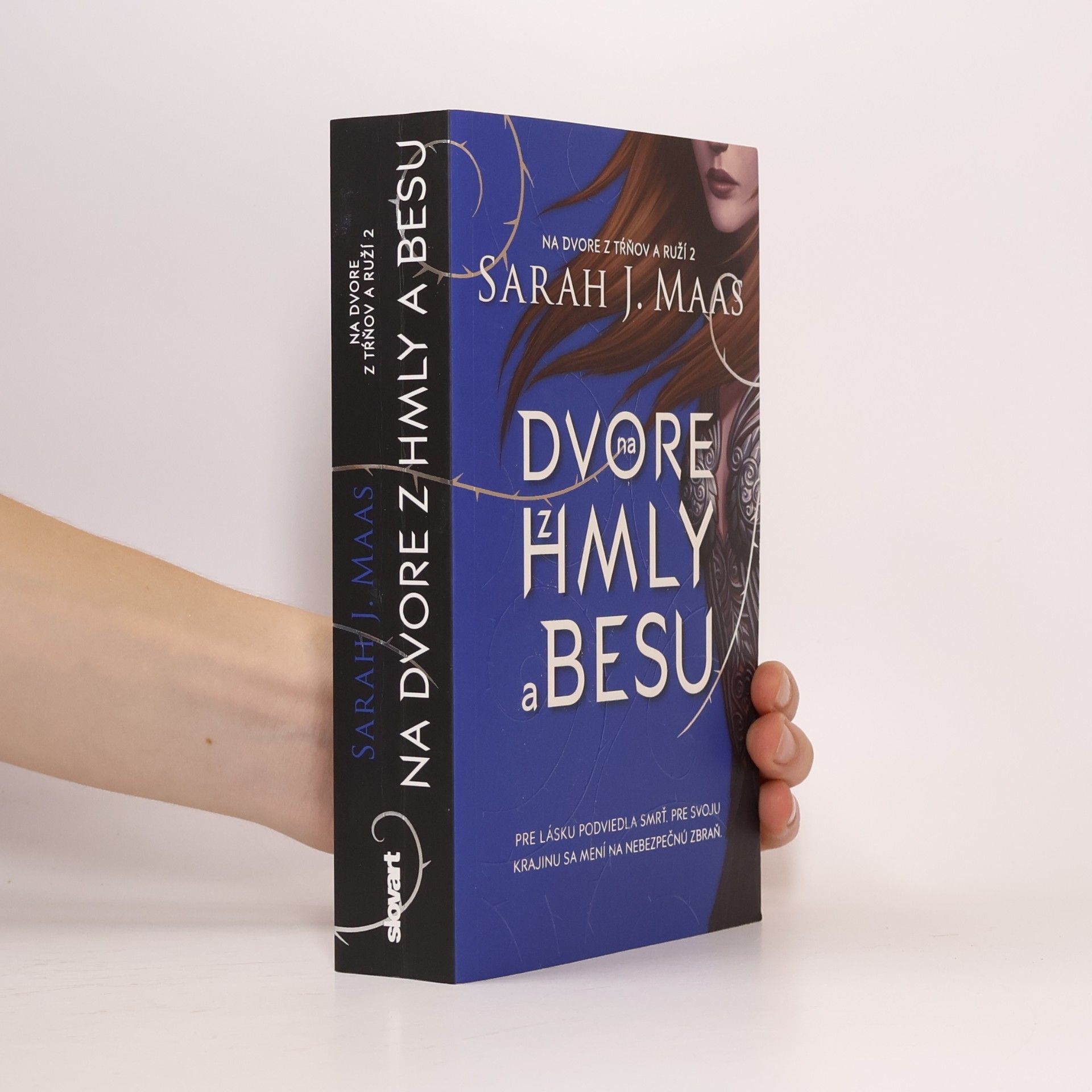 Na dvore z hmly a besu