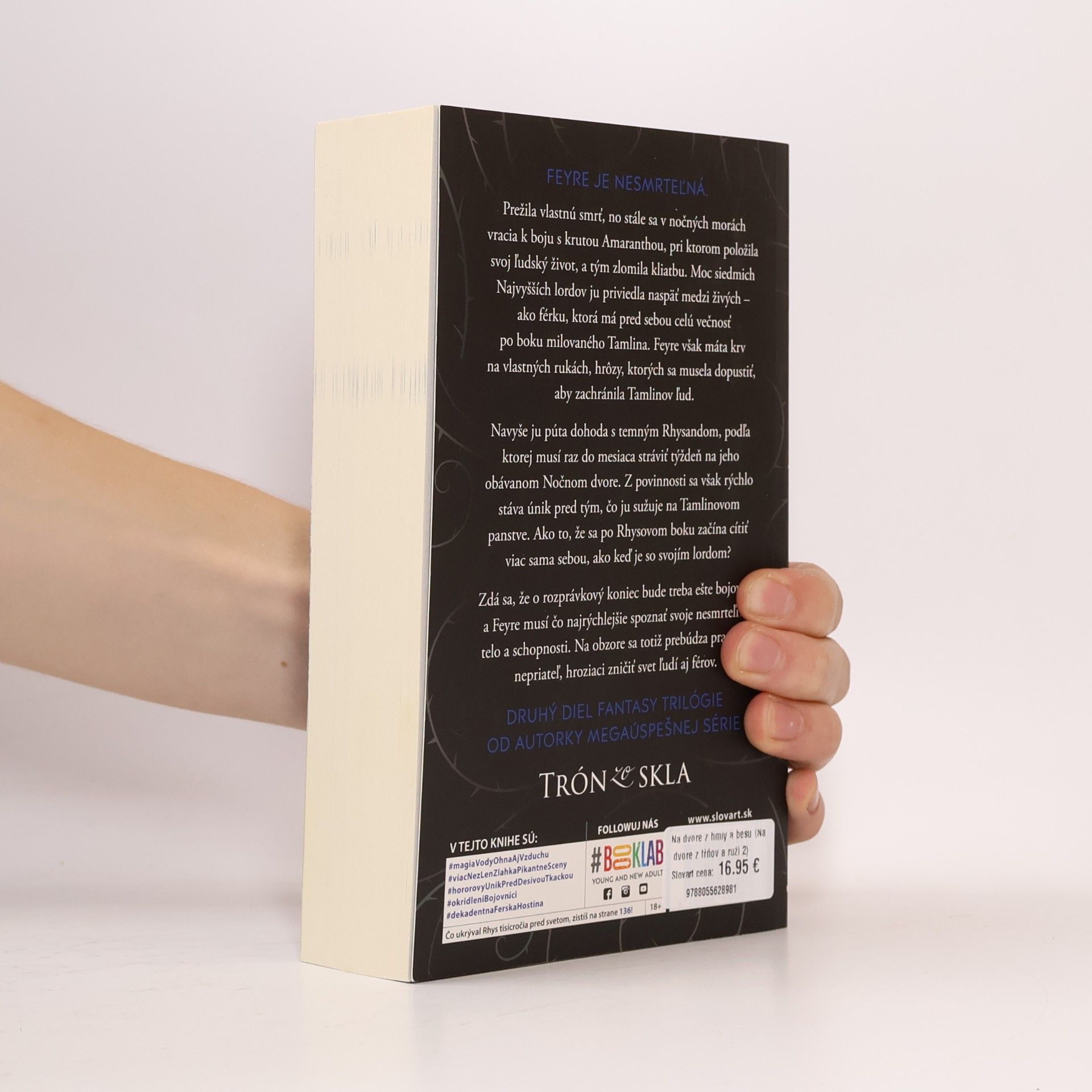 Sarah J. Maas Na dvore z hmly a besu