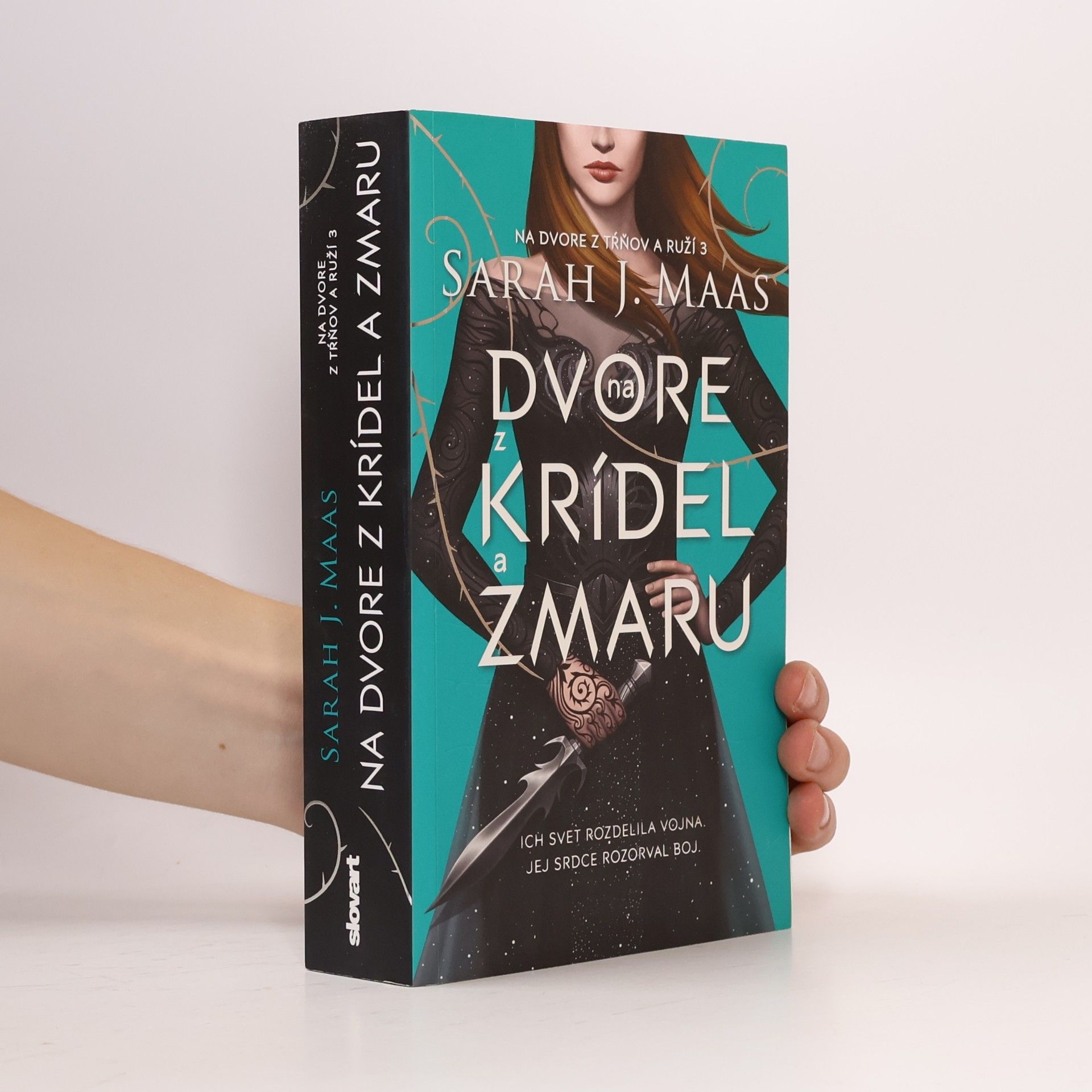 Na dvore z krídel a zmaru