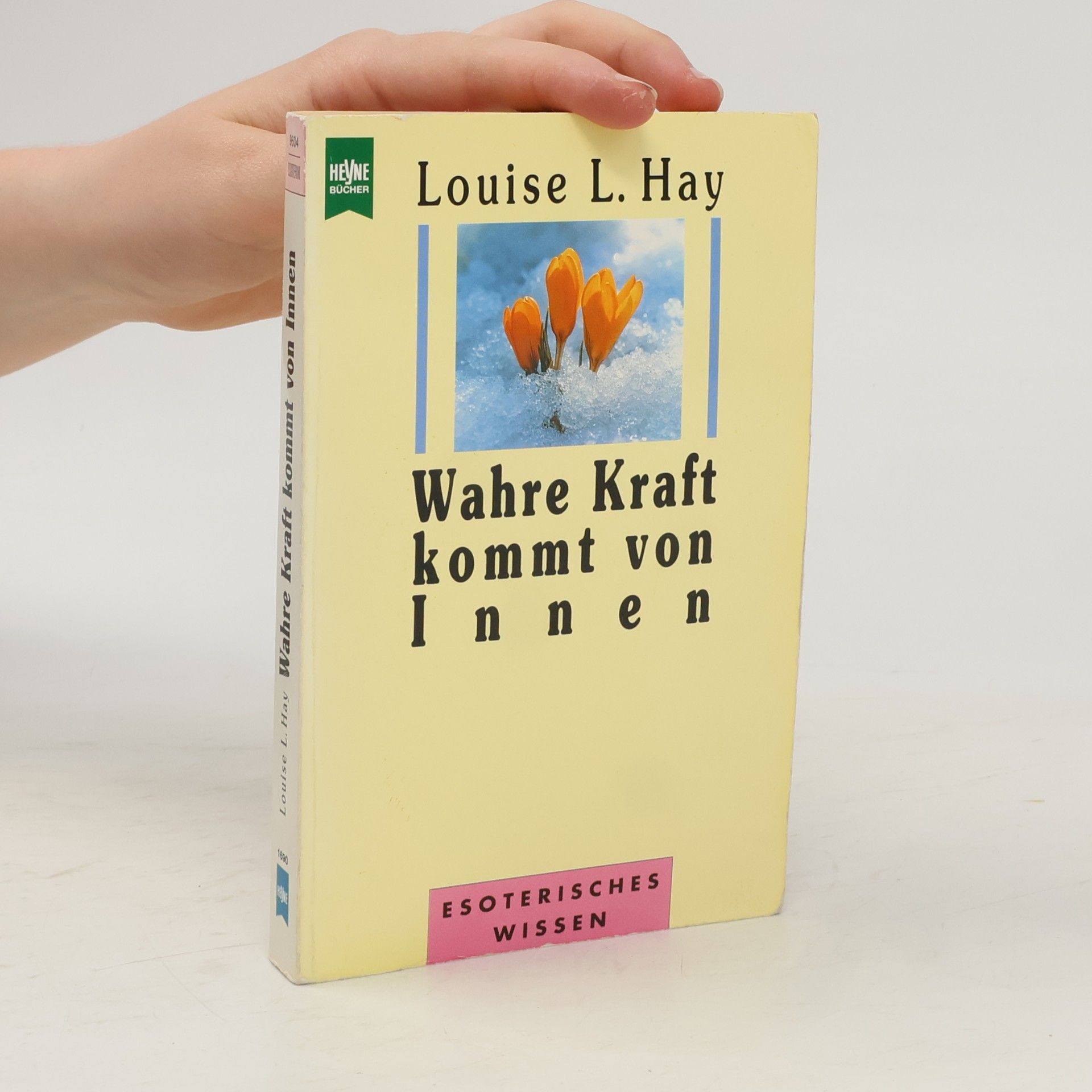 Louise Lynn Hay Wahre Kraft kommt von Innen