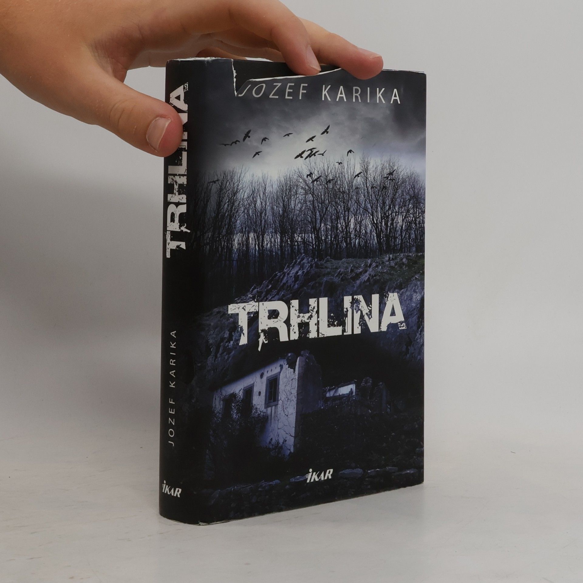 Jozef Karika Trhlina
