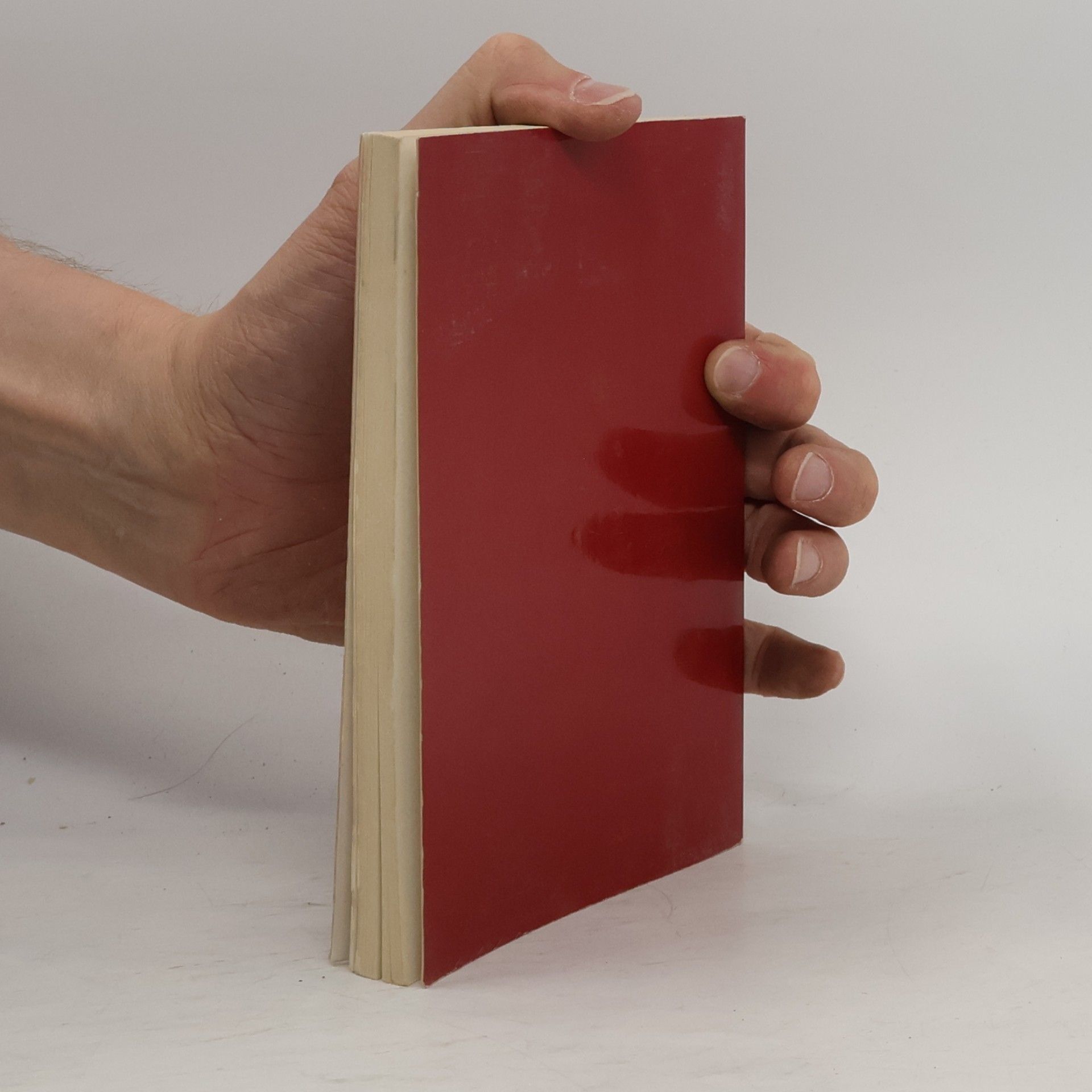 Gustave Flaubert Le cento pagine più belle