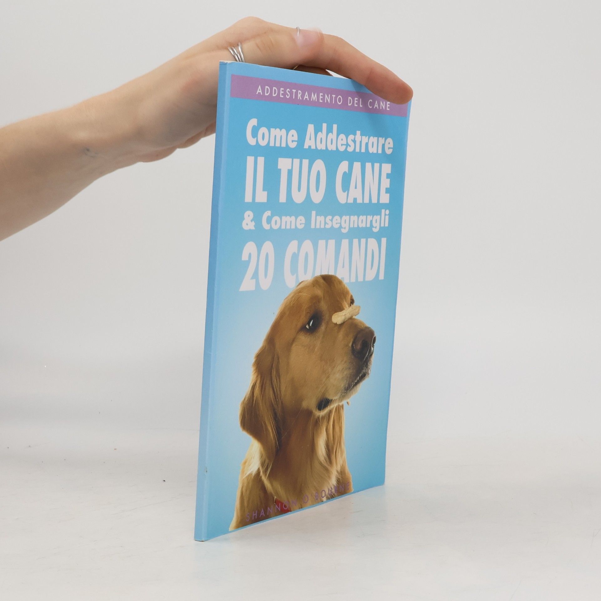 Shannon O'Boyne Addestramento del Cane
