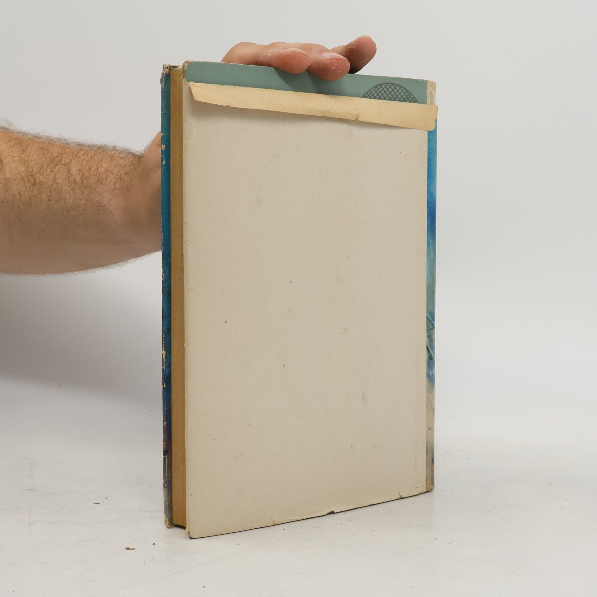 Heinz Mildner Eroberung der Ferne
