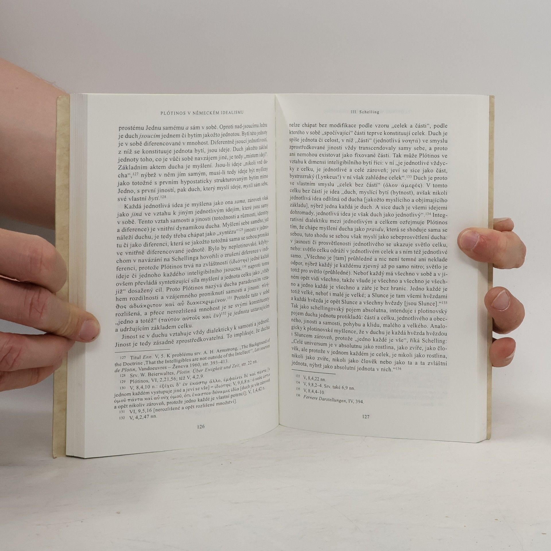 Werner Beierwaltes Platonismus a idealismus