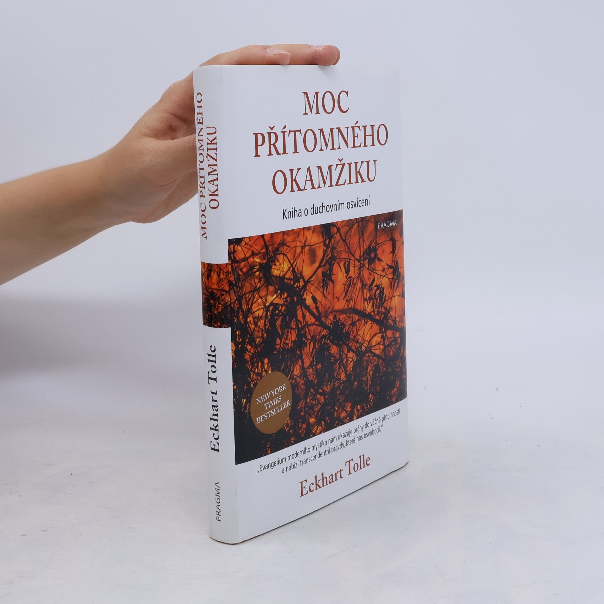 Eckhart Tolle Moc přítomného okamžiku