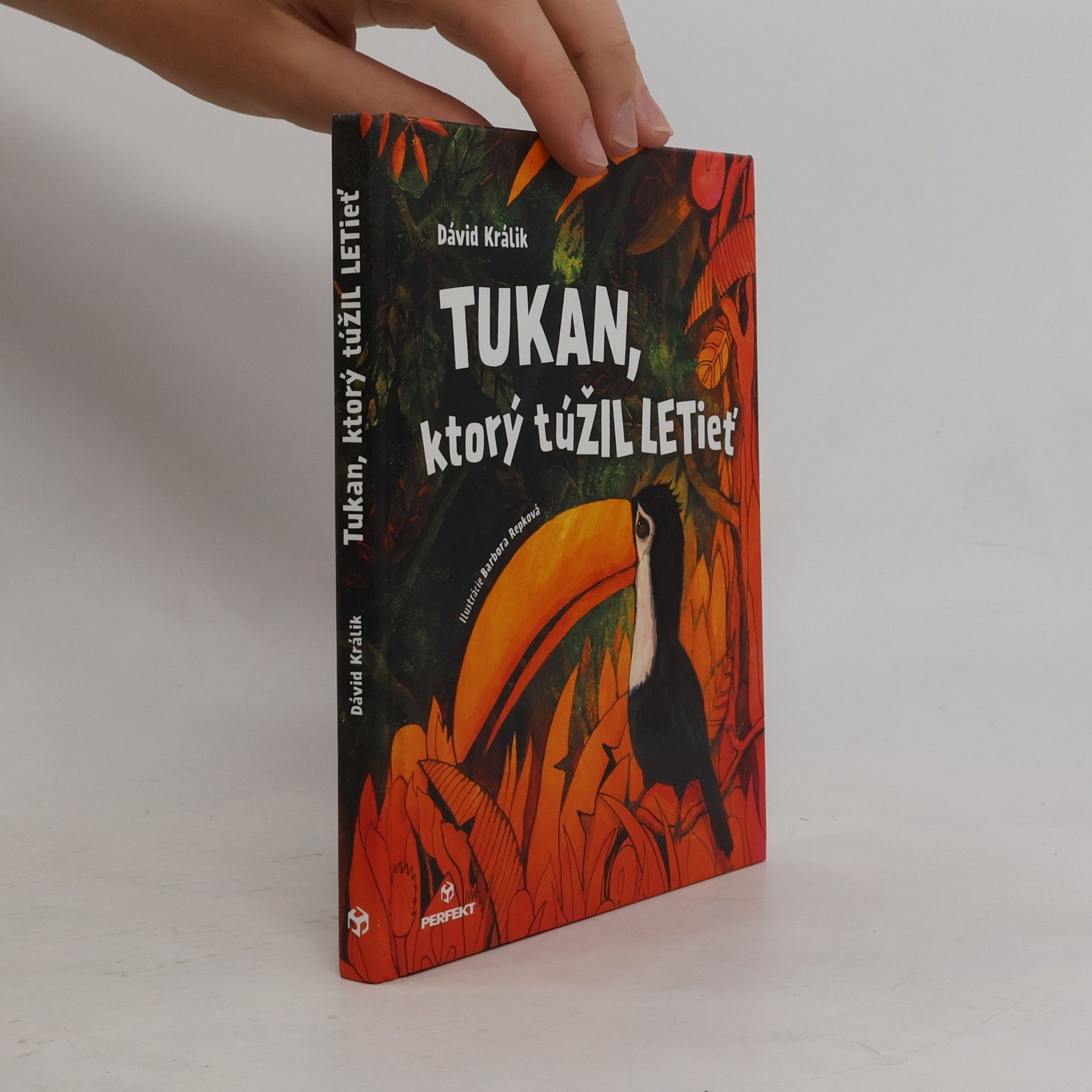 Dávid Králik Tukan, ktorý túžil letieť