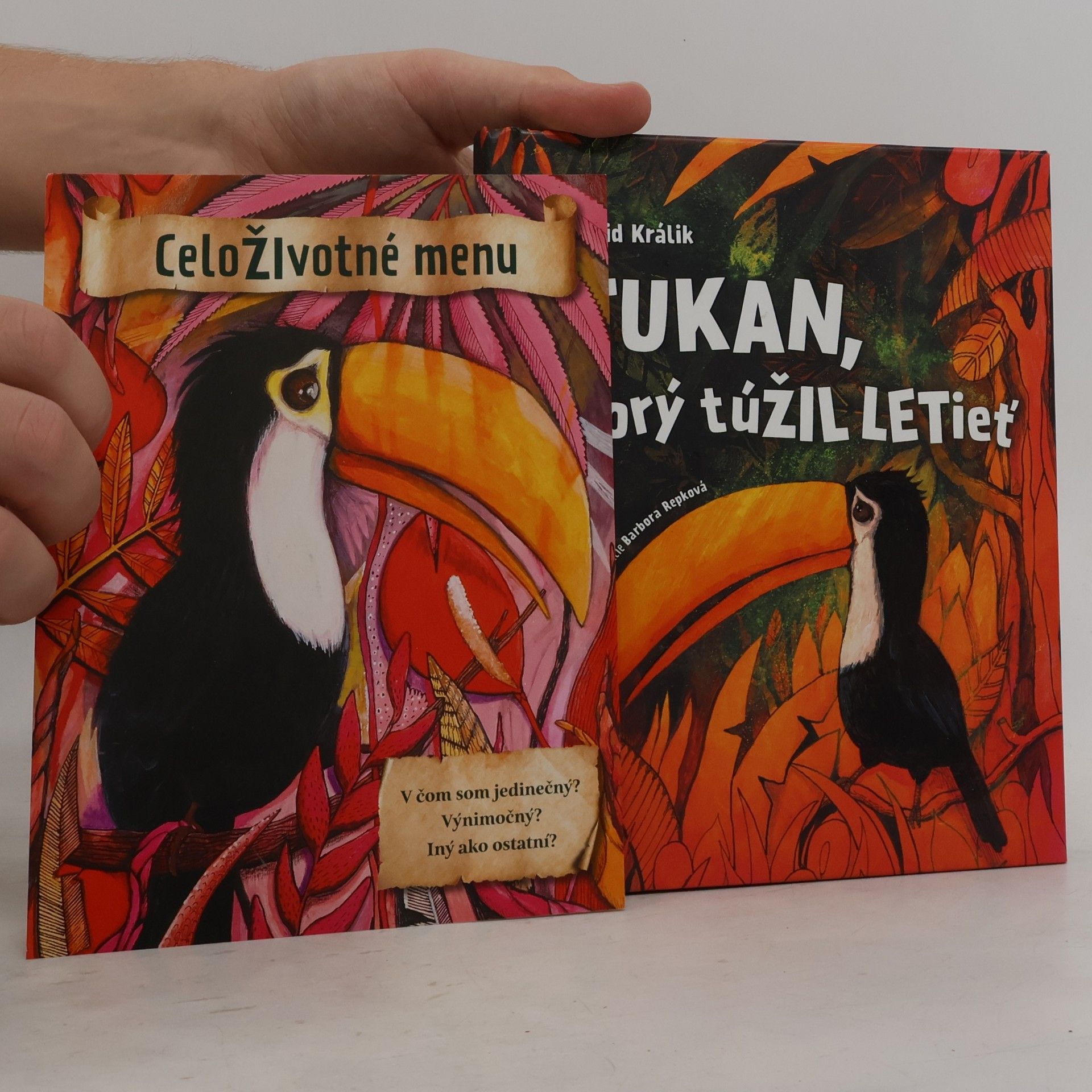 Dávid Králik Tukan, ktorý túžil letieť