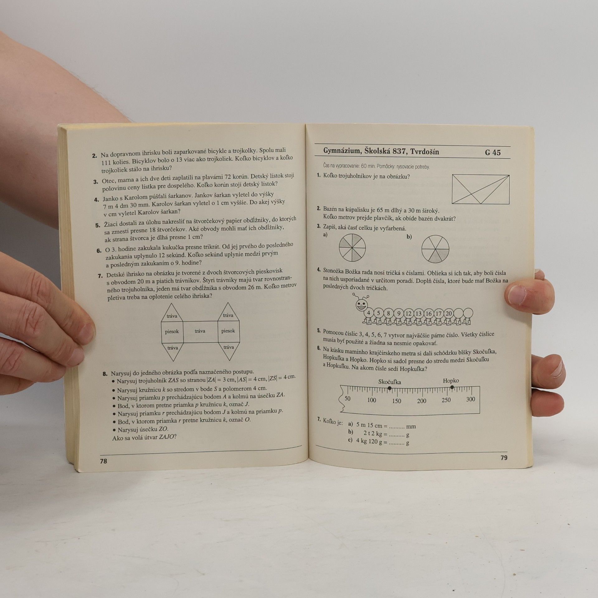 Autorenkollektiv Testy do prímy 2003. Matematika