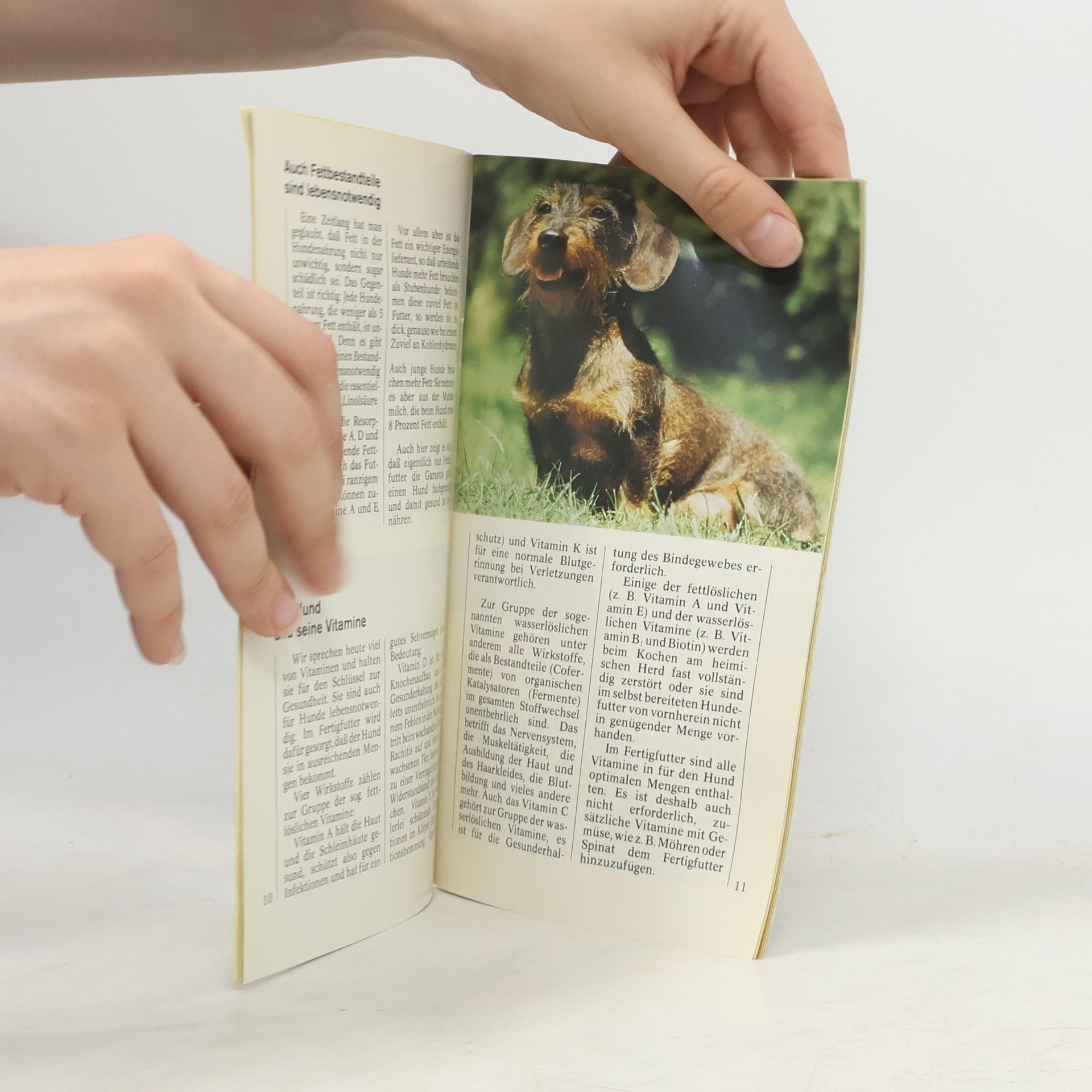 kolektiv Hundeernährung: leicht gemacht – richtig gemacht