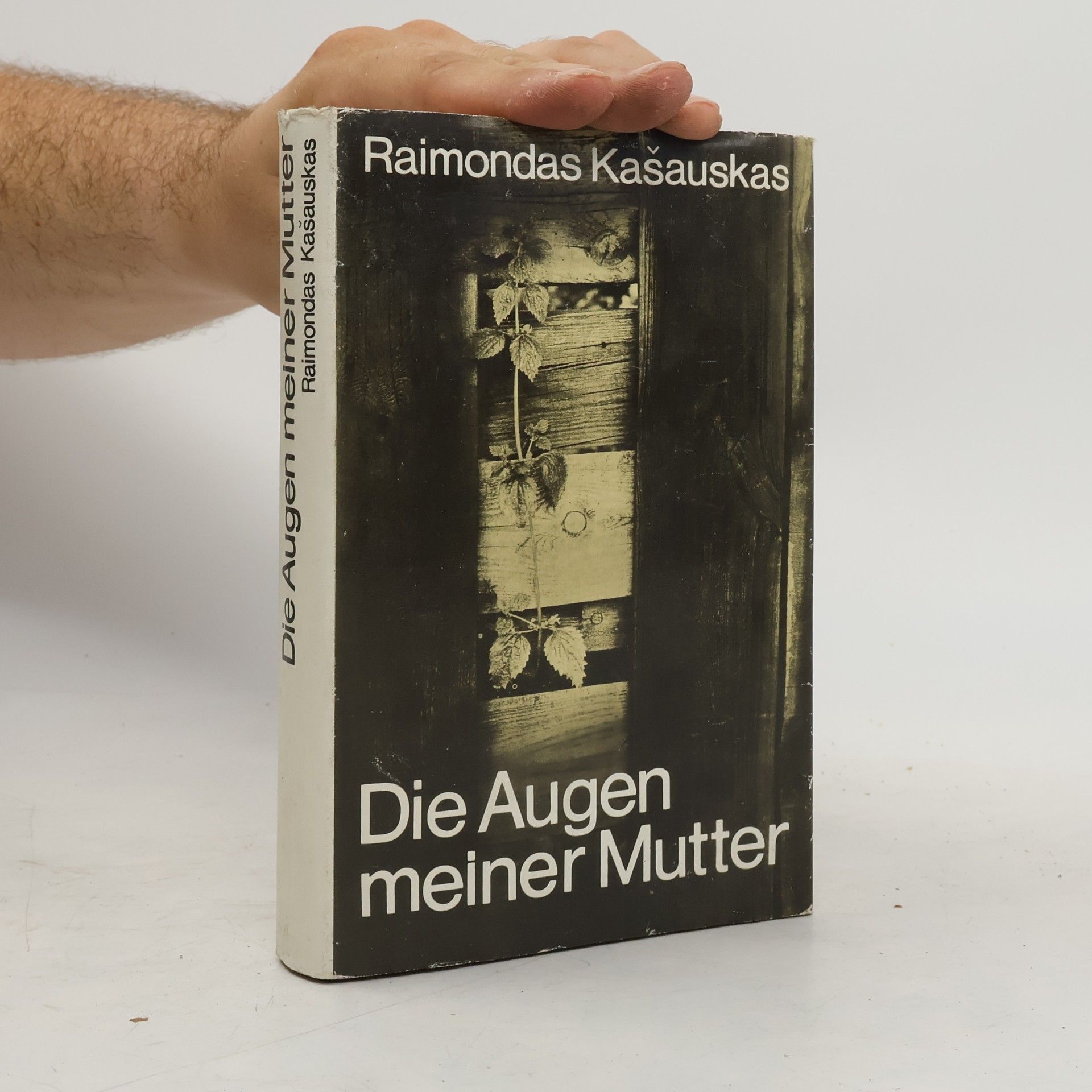 Raimondas Kašauskas Die Augen meiner Mutter
