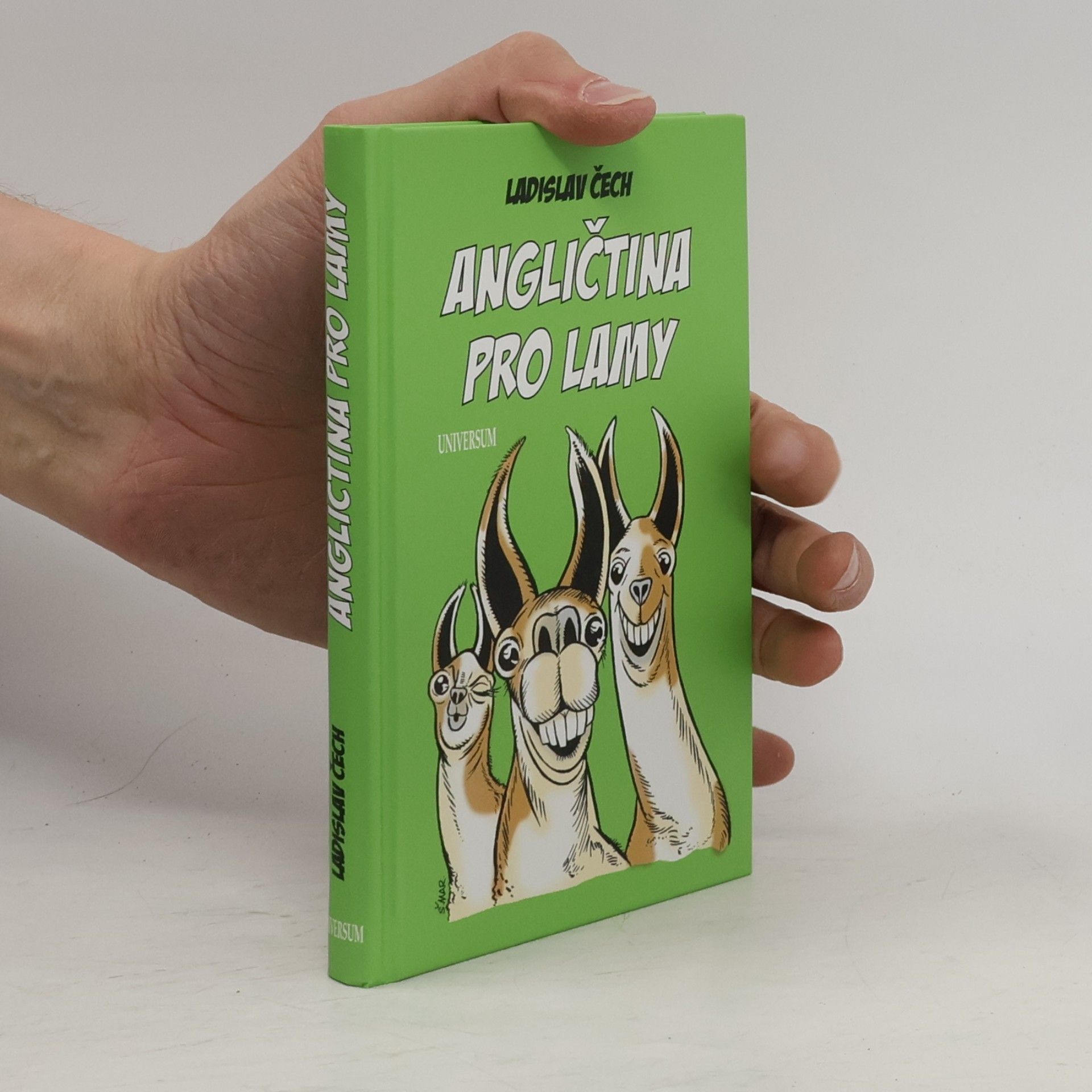 Ladislav Čech Angličtina pro lamy