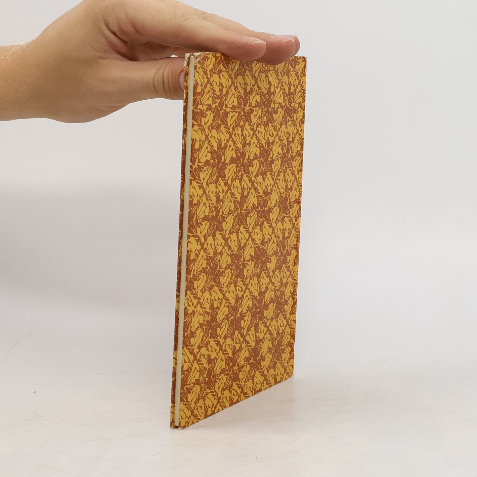 Autorenkollektiv Fabeln des Aesop : mit 51 Wiedergaben von Virgil Solis