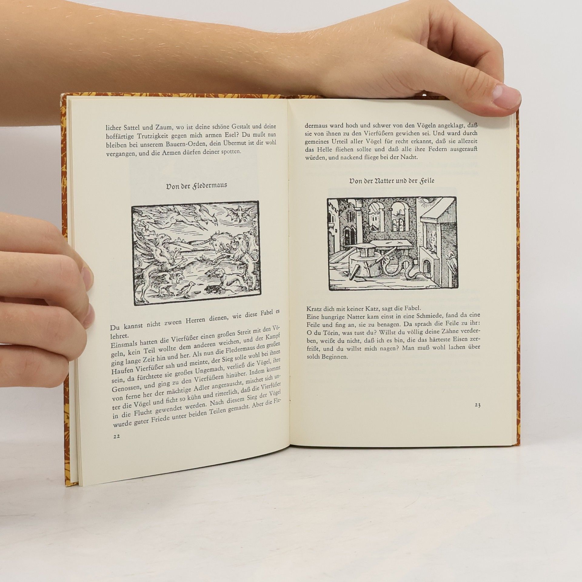 Autorenkollektiv Fabeln des Aesop : mit 51 Wiedergaben von Virgil Solis