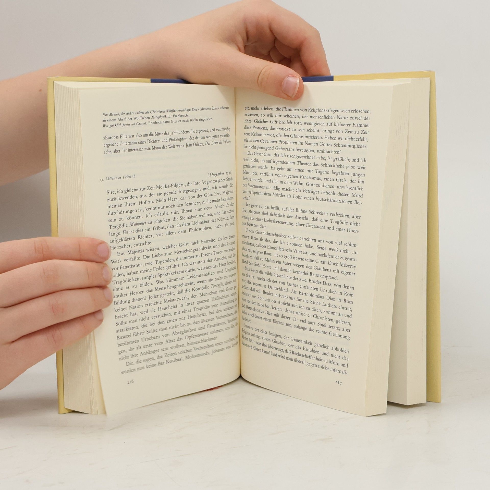 Voltaire Voltaire - Friedrich der Große. Briefwechsel