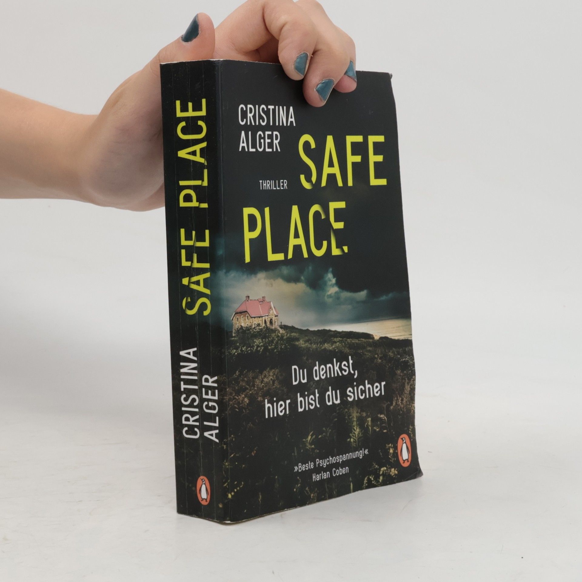 Cristina Alger Safe Place