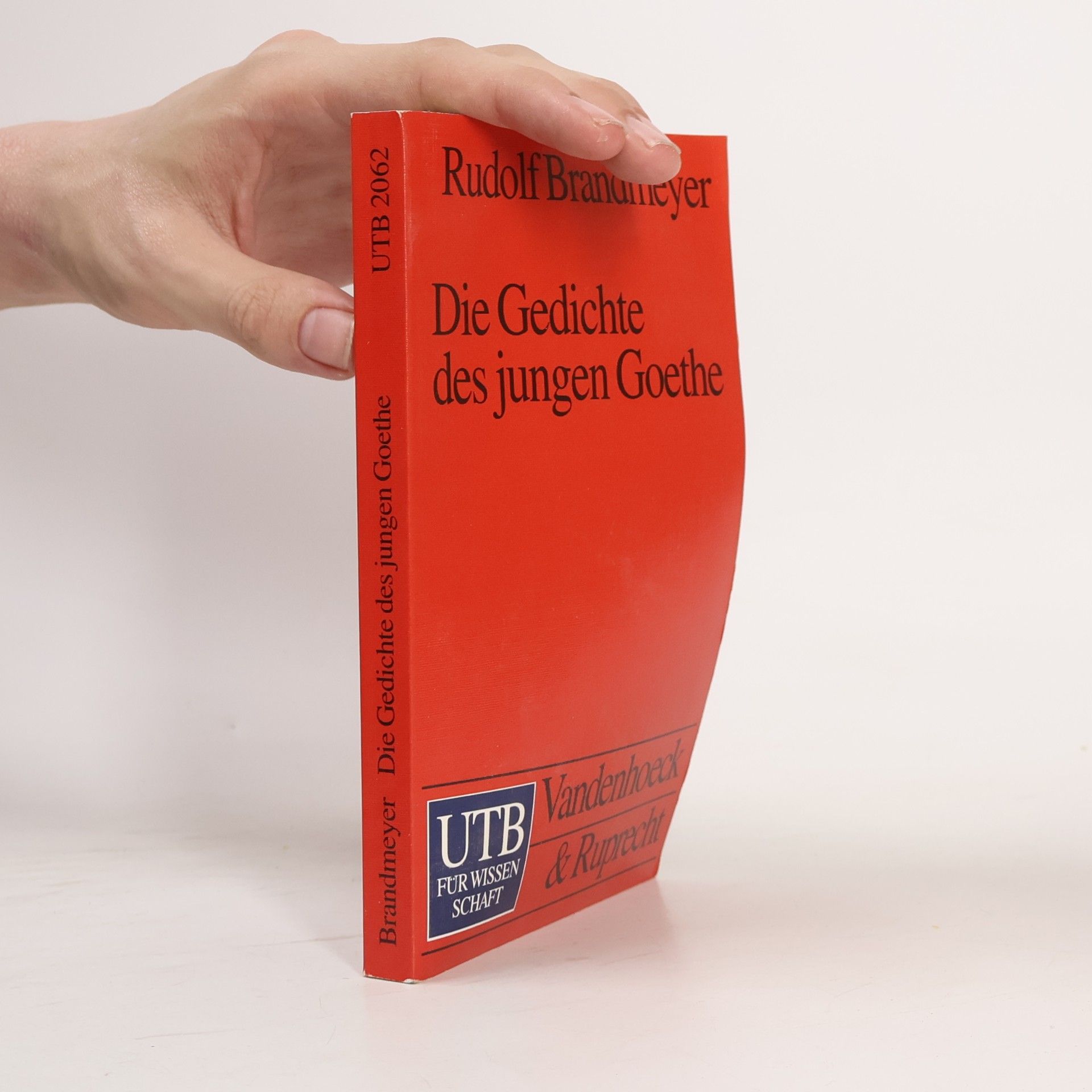 Rudolf Brandmeyer Die Gedichte des jungen Goethe