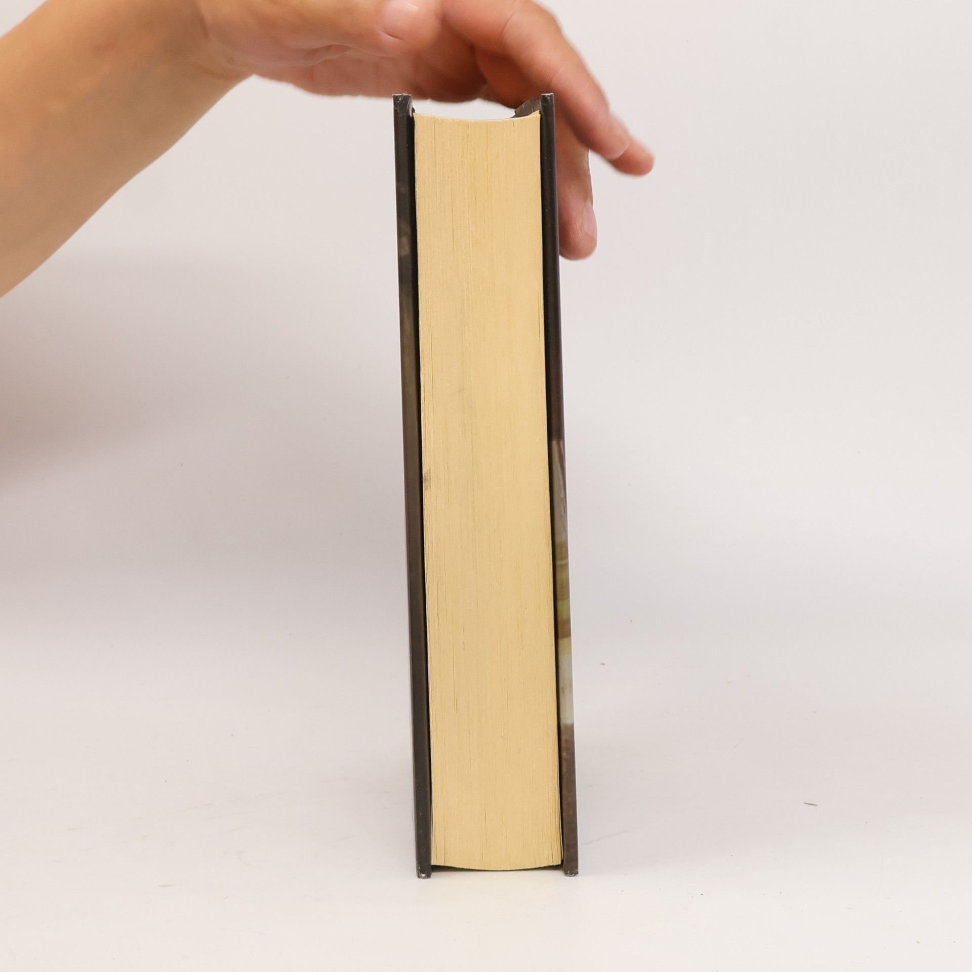 Jo Nesbø Pancierové srdce