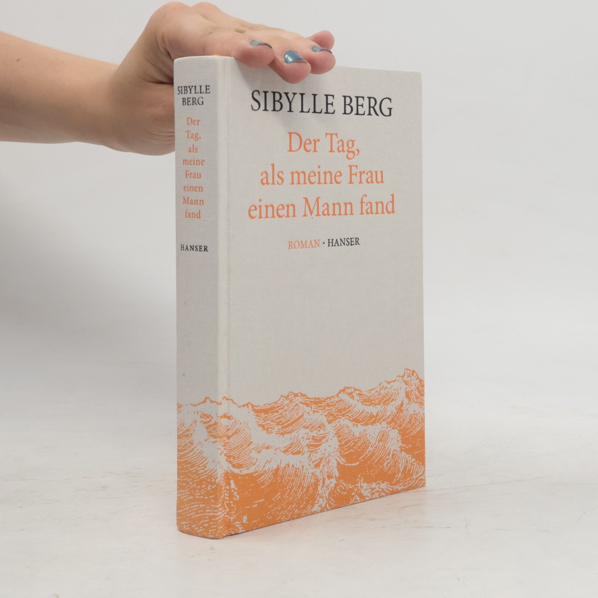 Sibylle Berg Der Tag, als meine Frau einen Mann fand