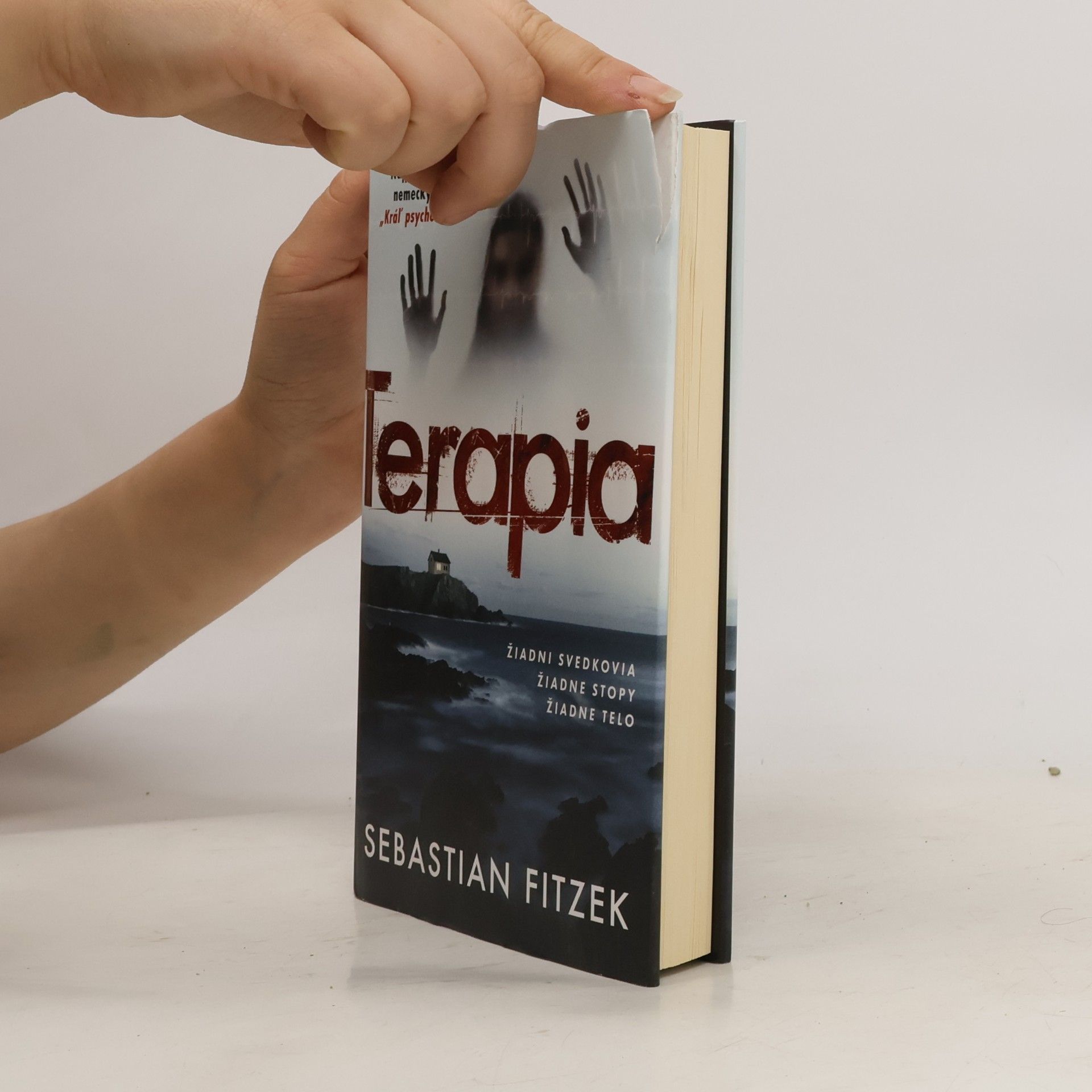 Sebastian Fitzek Terapia