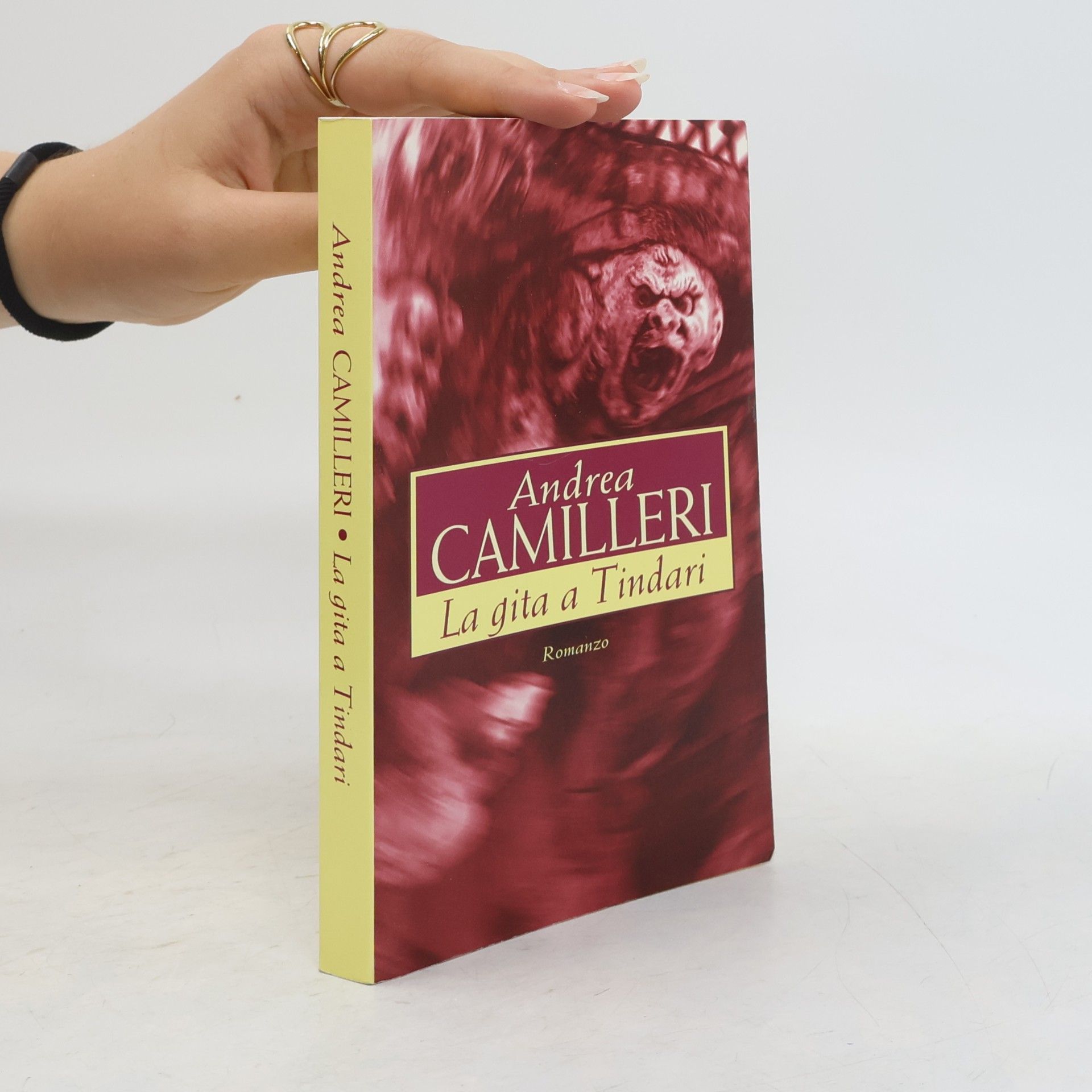 Andrea Camilleri La gita a Tindari