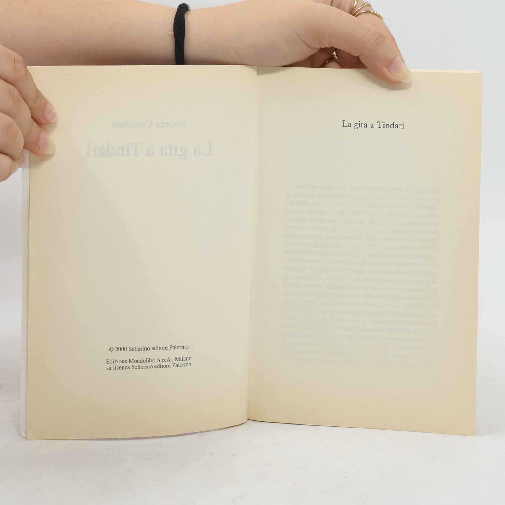 Andrea Camilleri La gita a Tindari