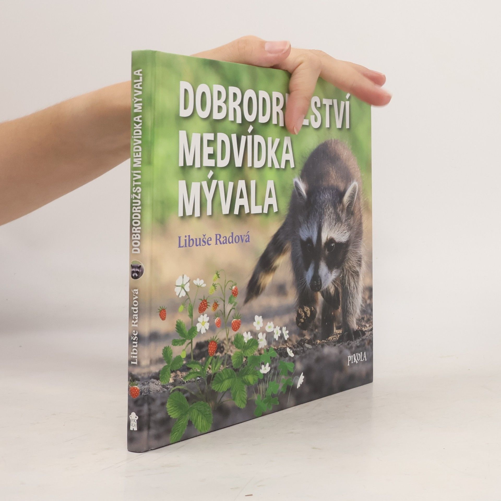 Libuše Radová Dobrodružství medvídka mývala