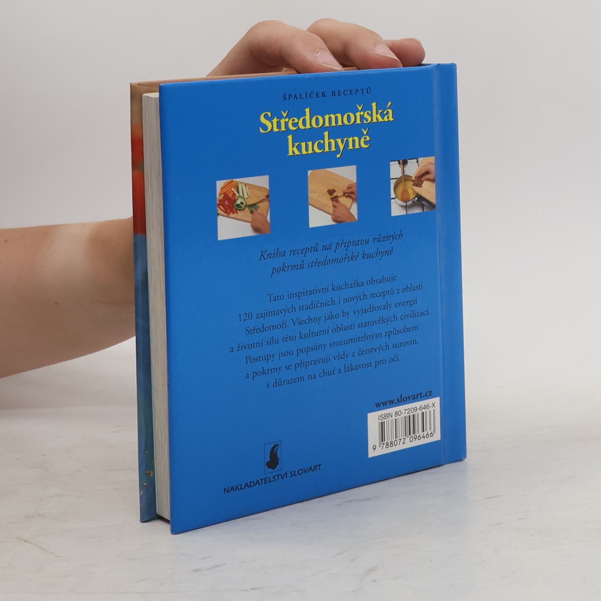 Kolektiv autorů Středomořská kuchyně
