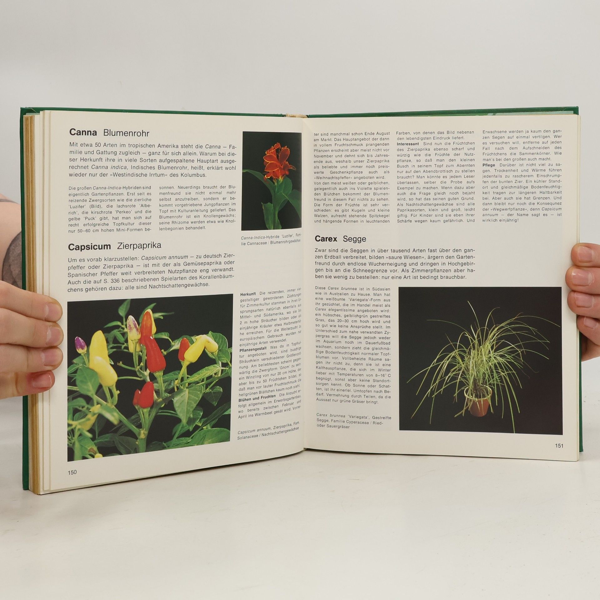 Margot Schubert Wohnen mit Blumen