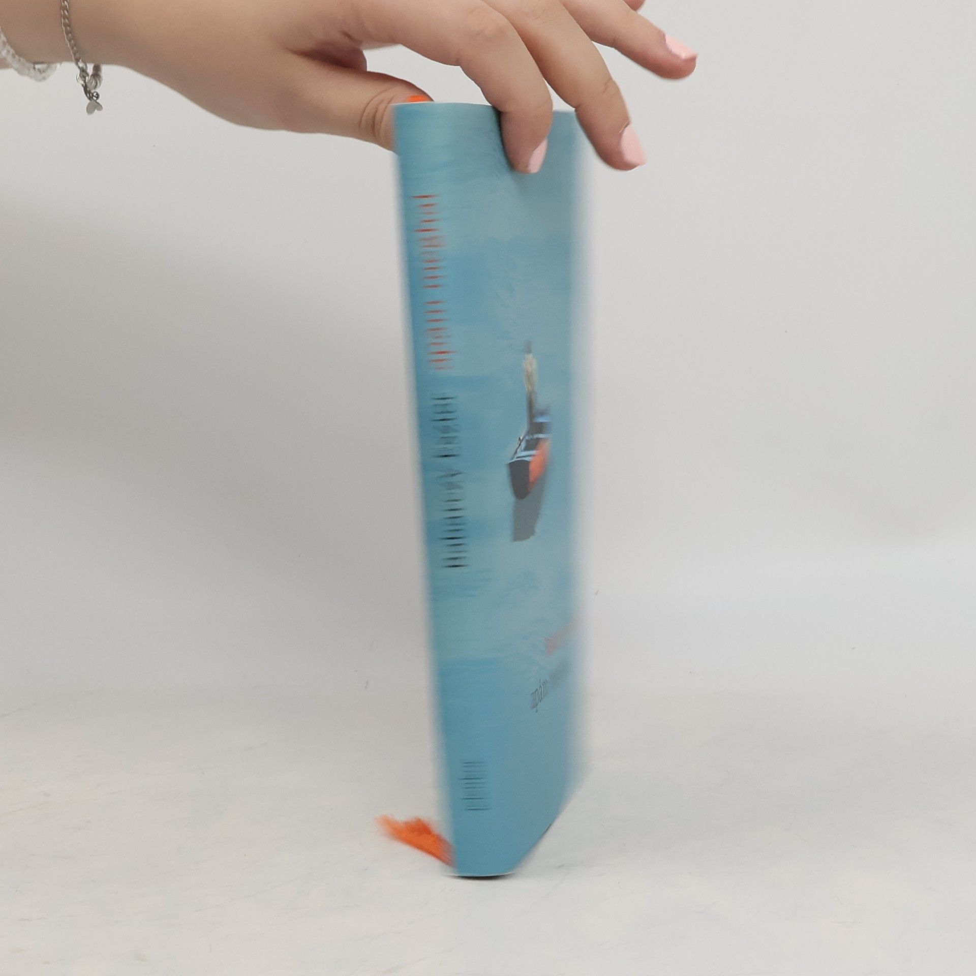A Jangada de Pedra