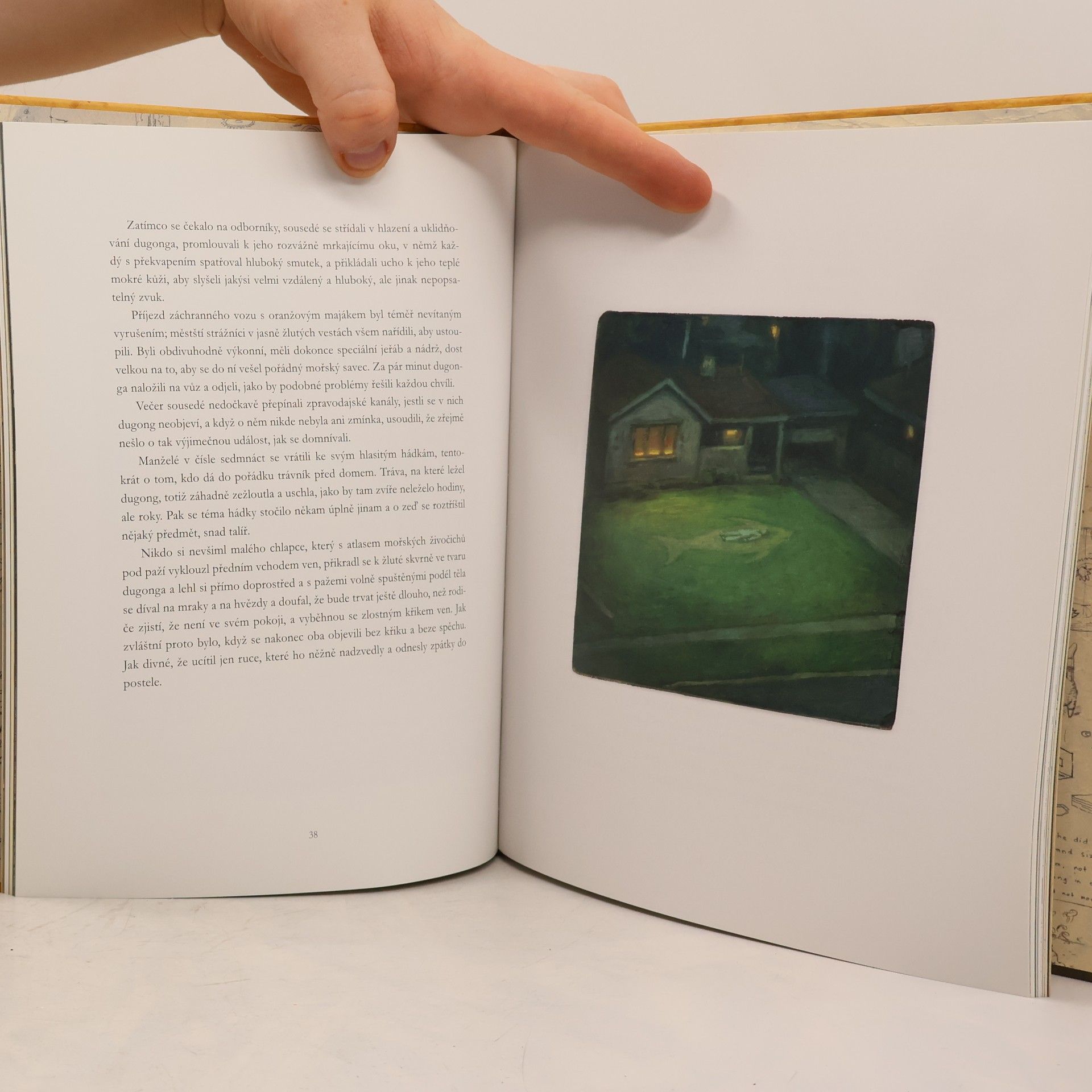 Shaun Tan Příběhy z konce předměstí