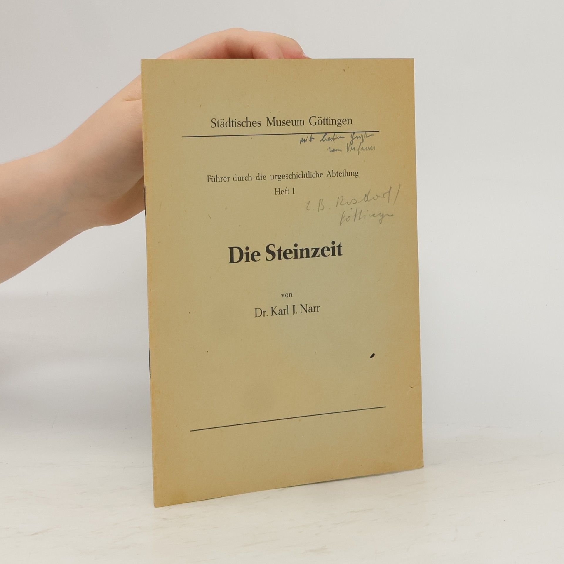 Die Steinzeit