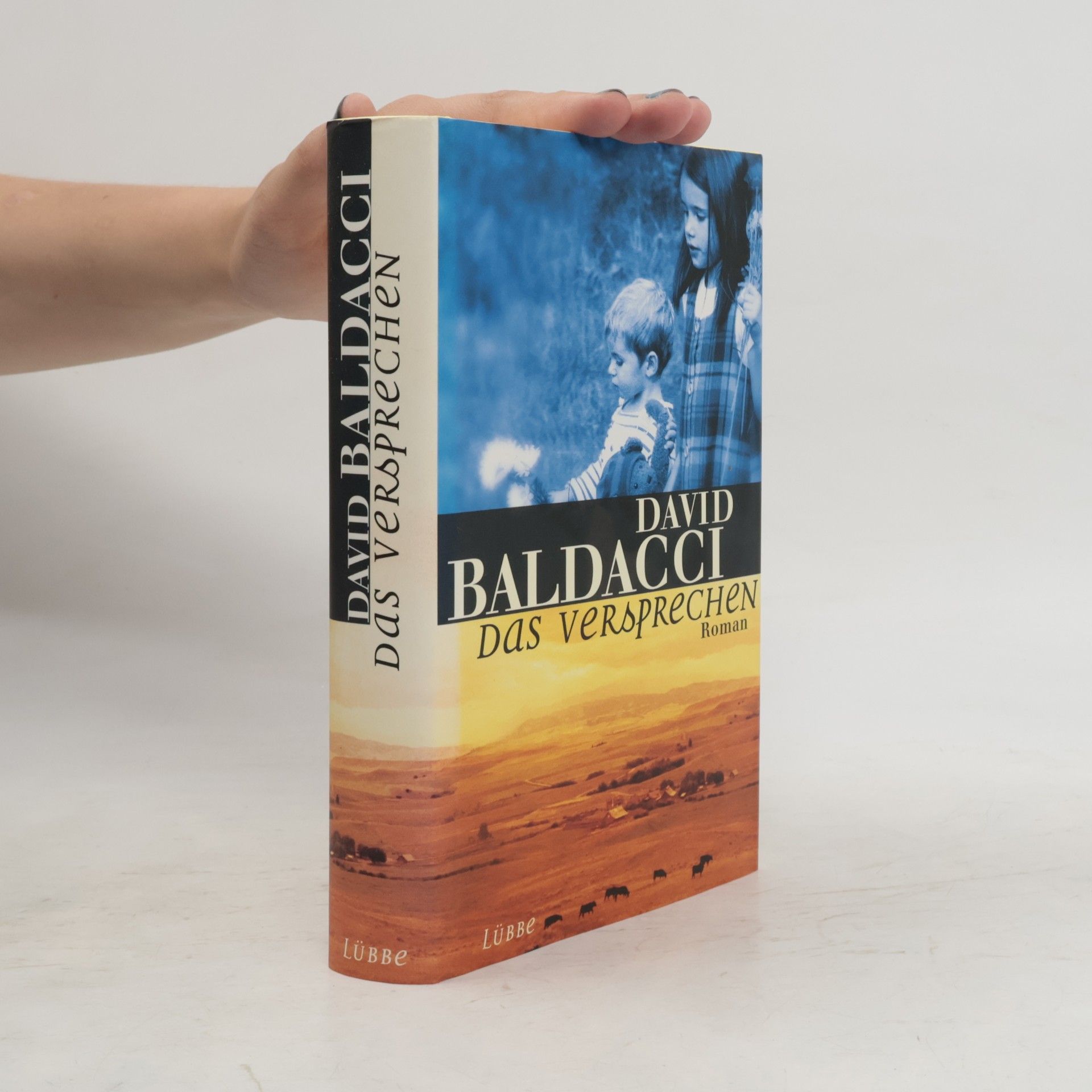 David Baldacci Das Versprechen