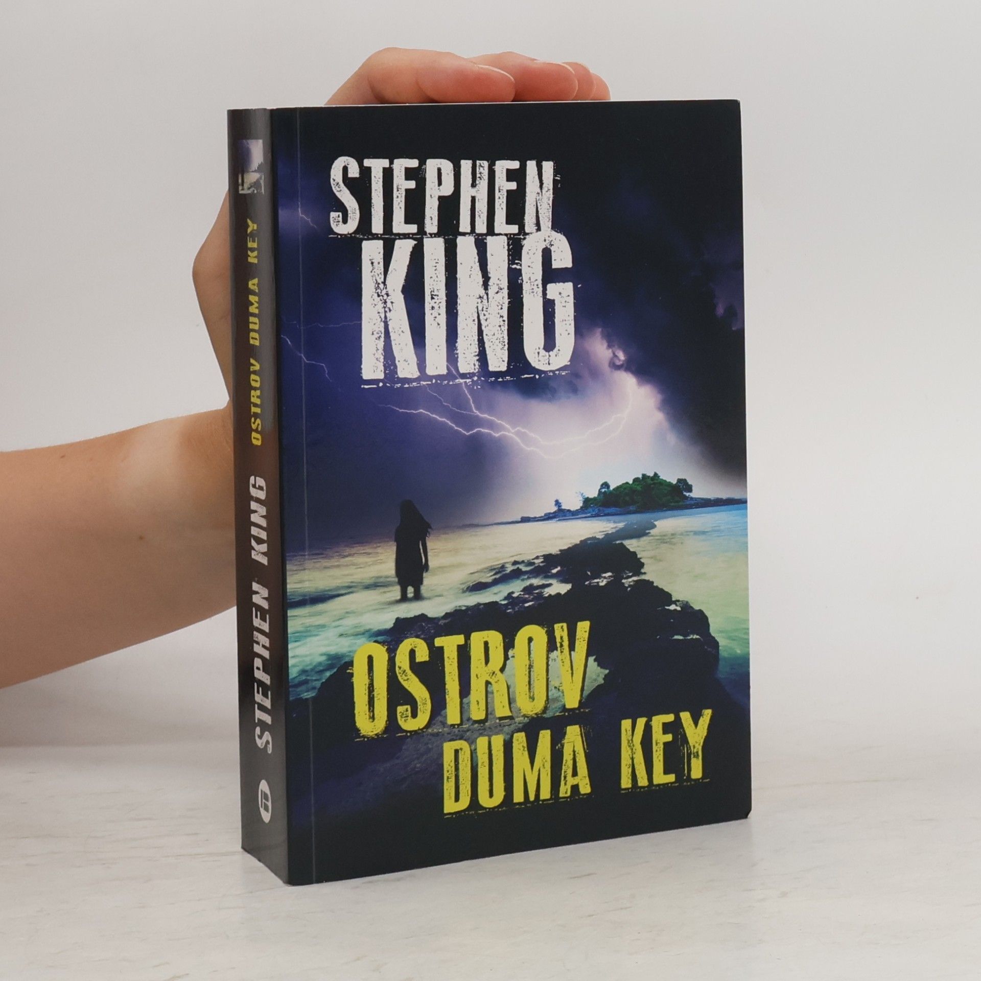 Stephen King Ostrov Duma Key