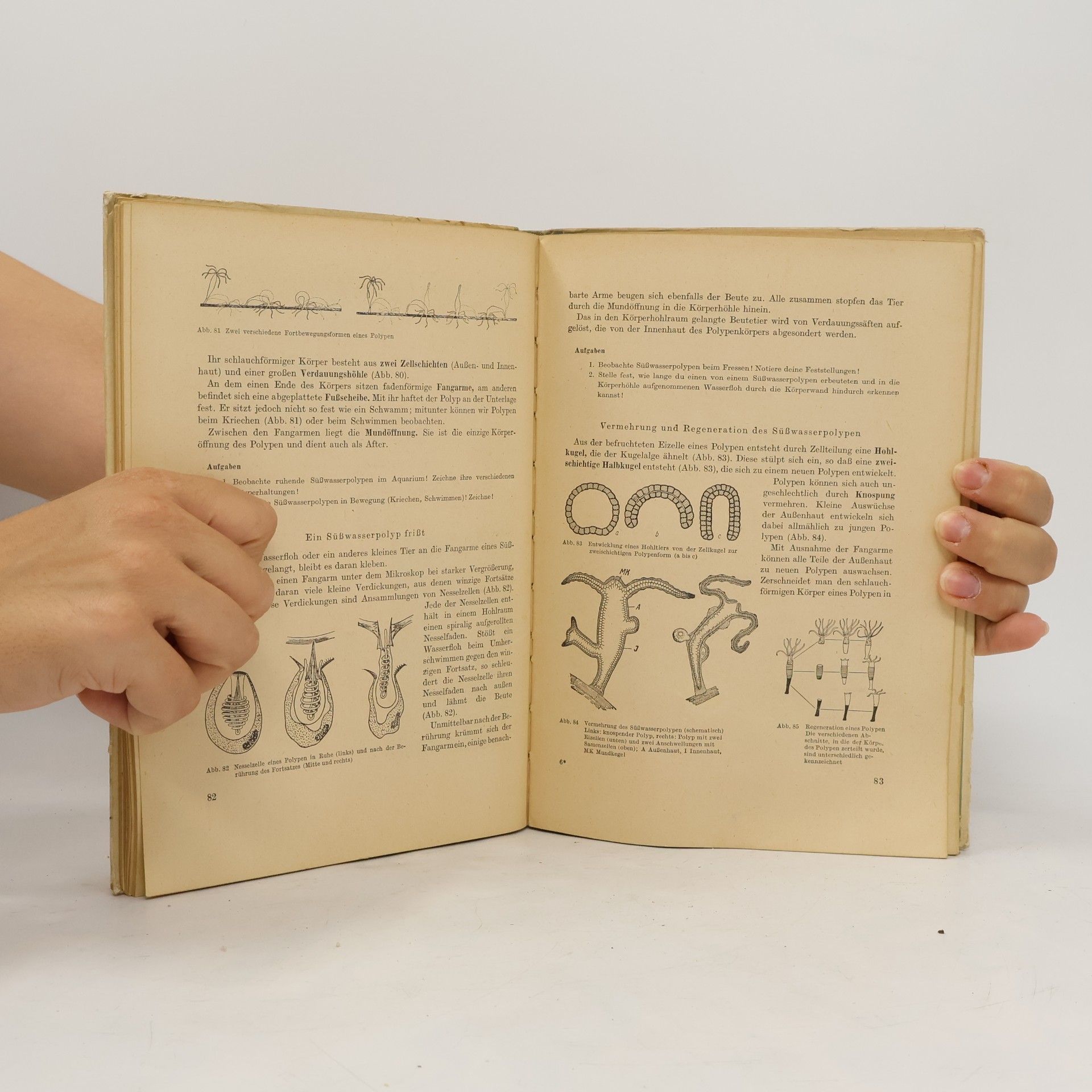 Kolektiv autorů Lehrbuch der Biologie