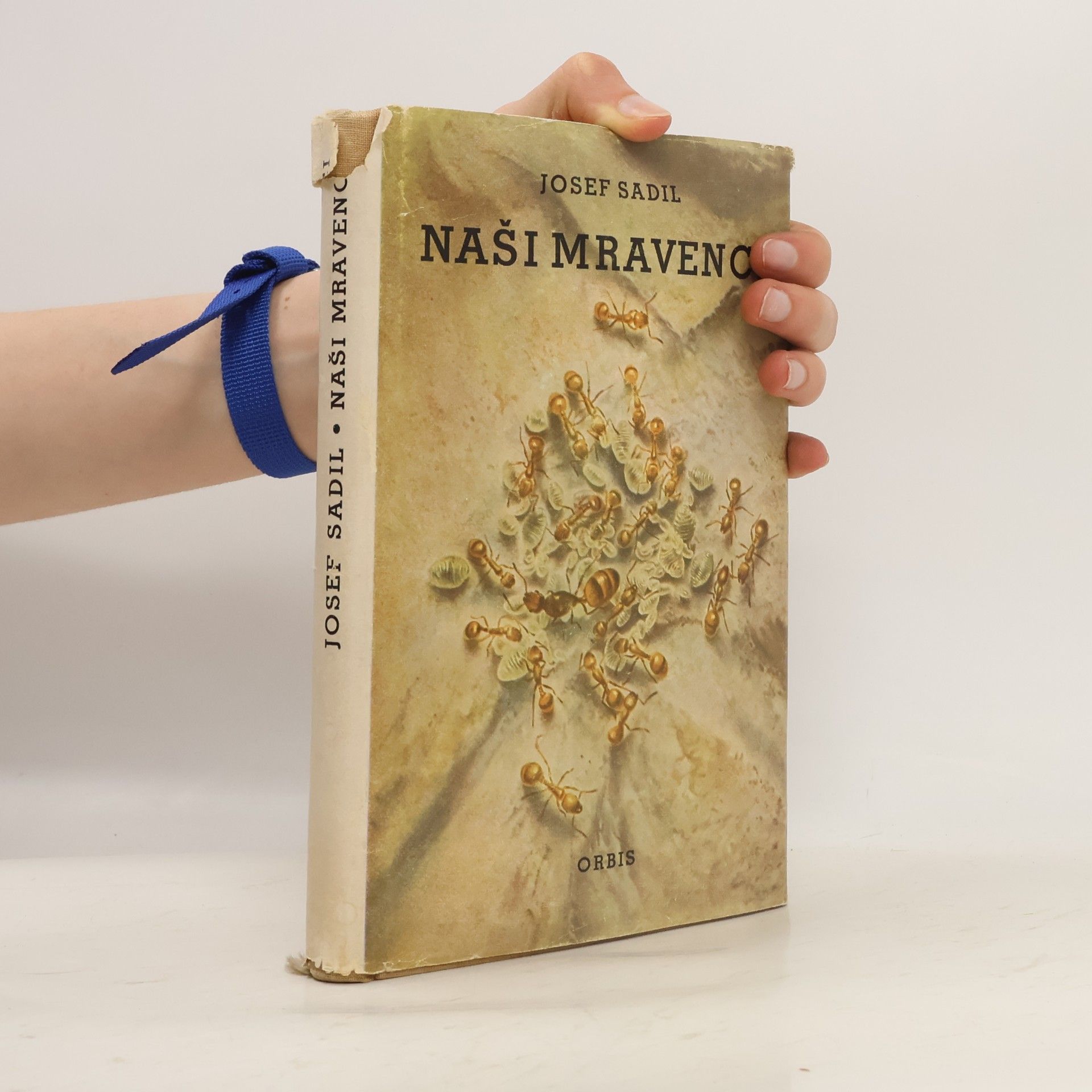 Josef Sadil Naši mravenci