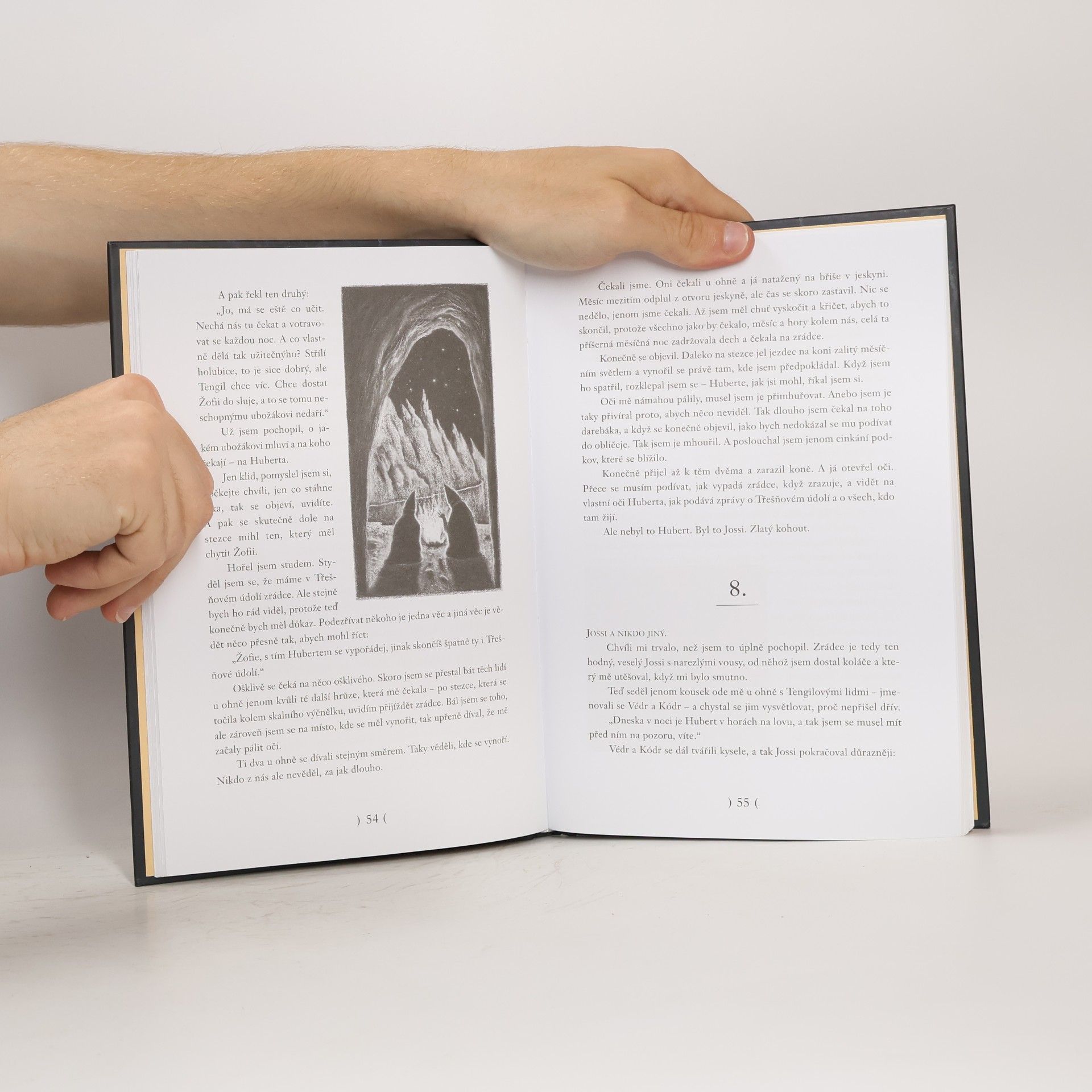 Astrid Lindgren Bratři Lví srdce