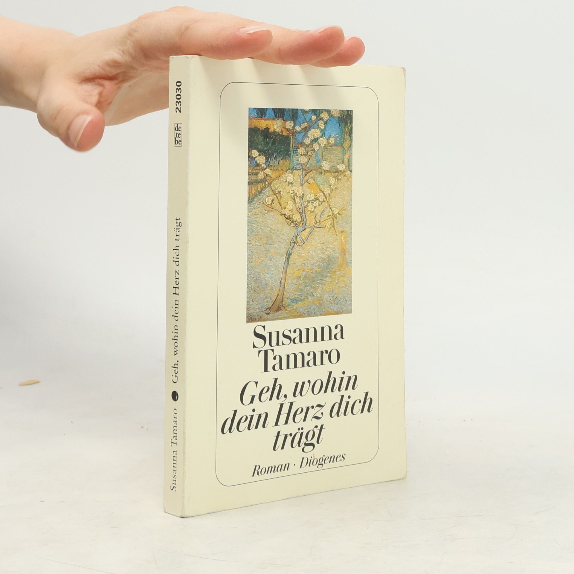 Susanna Tamarová Geh, wohin dein Herz dich trägt