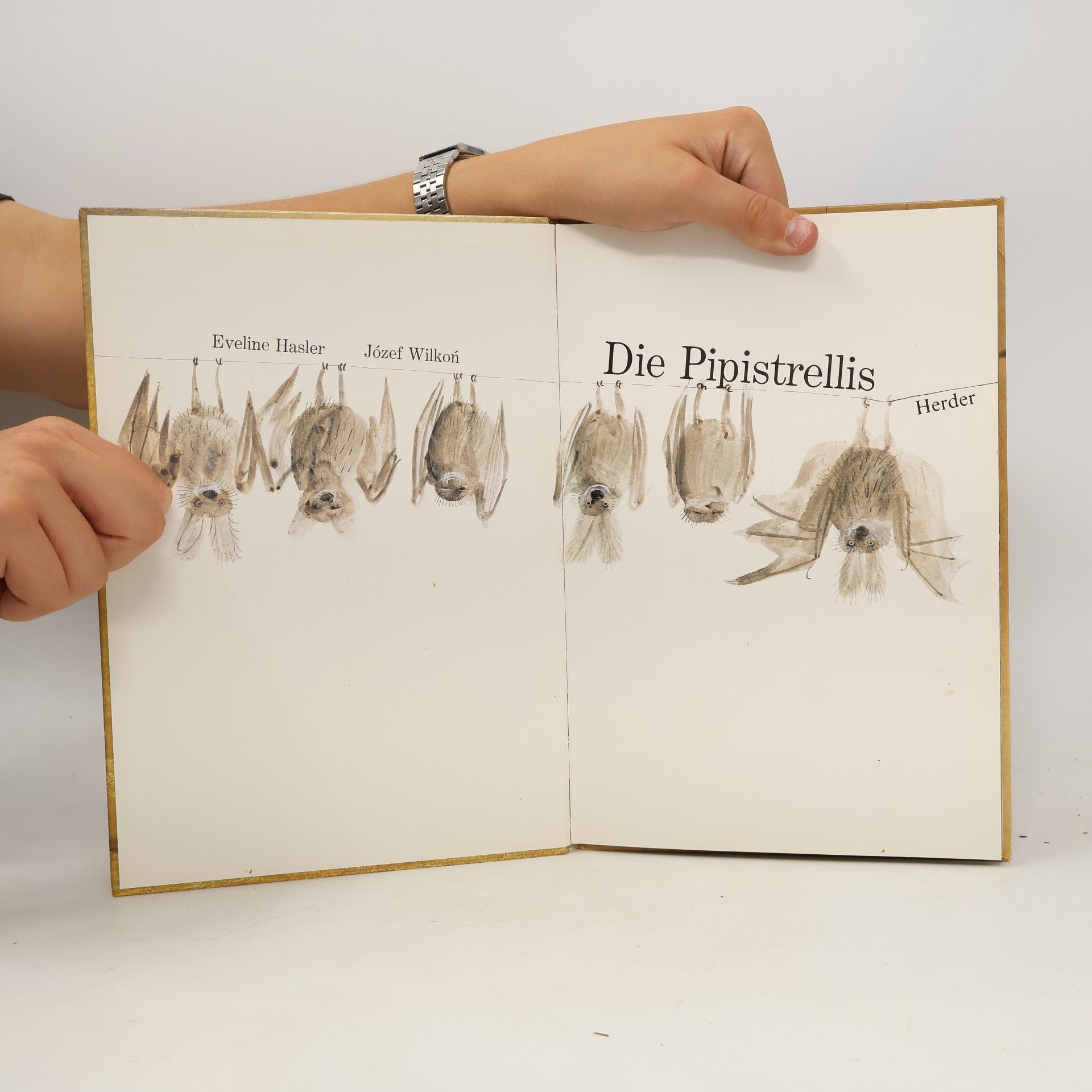 Eveline Hasler Die Pippistrellis