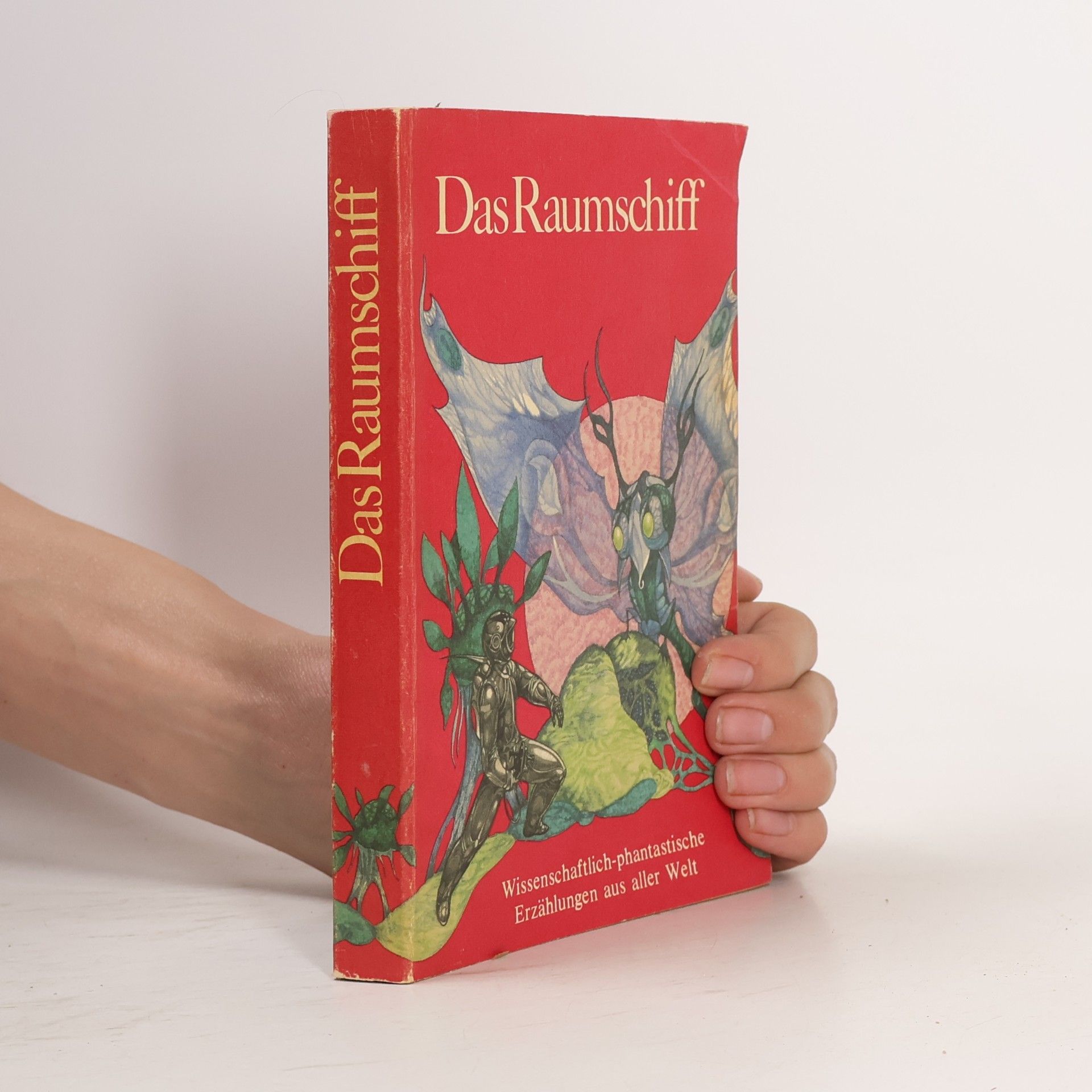 Kolektív autorov Das Raumschiff