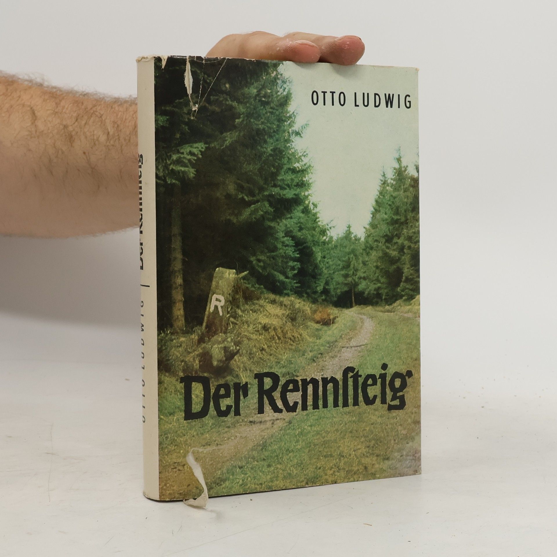 Otto Ludwig Der Rennsteig