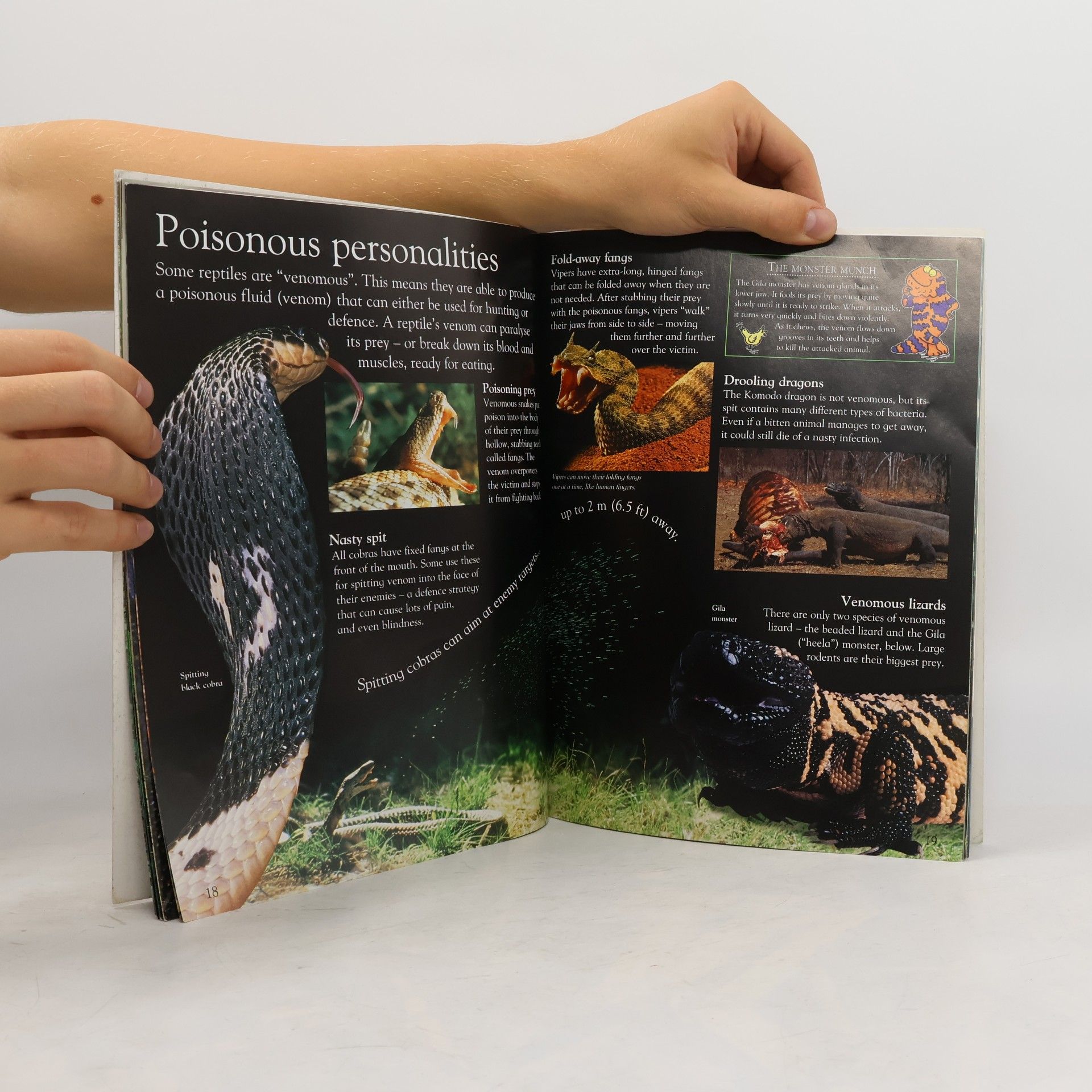 Sarah Walker Eyewonder: Reptiles