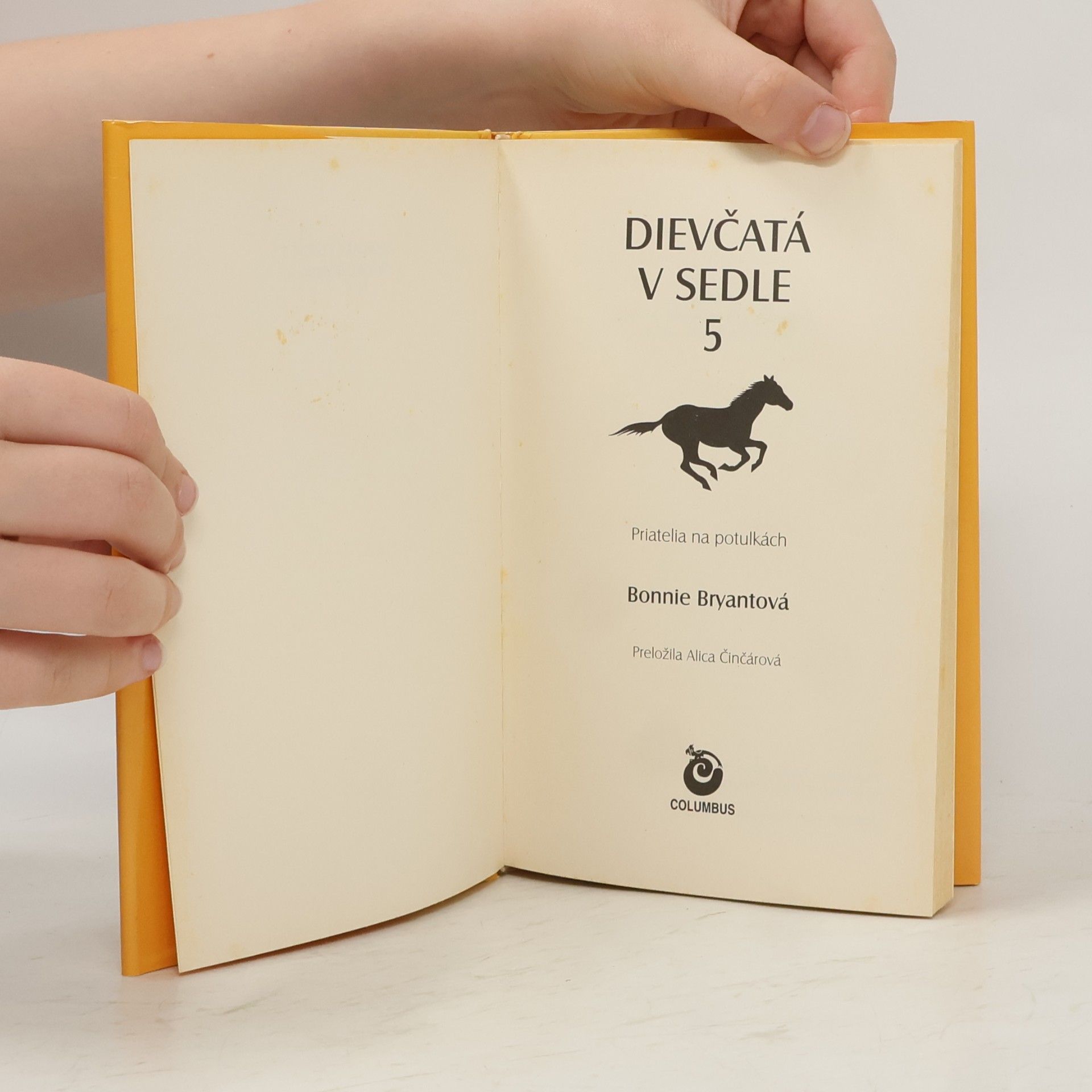 Bonnie Bryant Dievčatá v sedle 5: Priatelia na potulkách