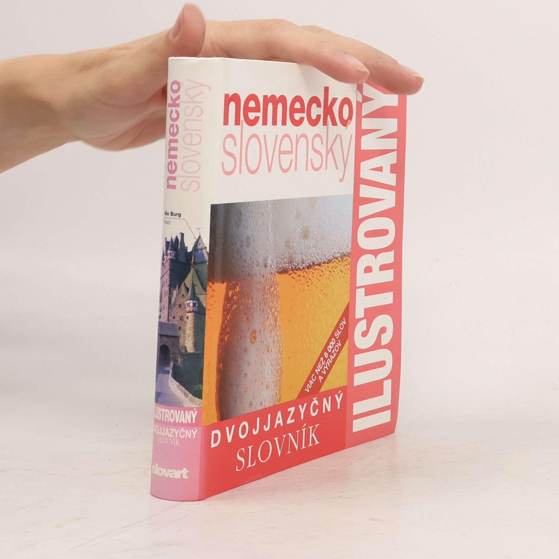 Dvojjazyčný nemecko slovenský ilustrovaný slovník