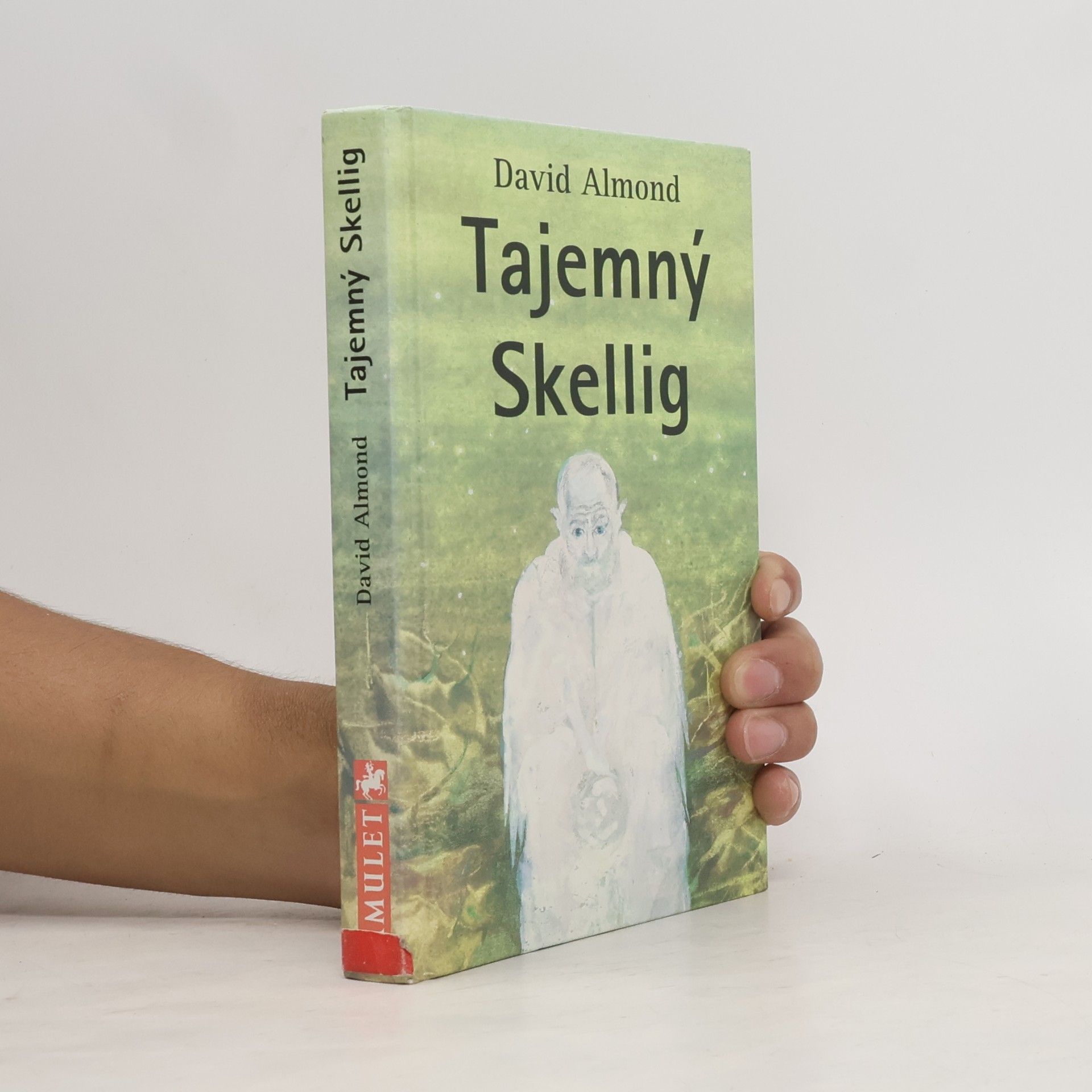 David Almond Tajemný Skellig